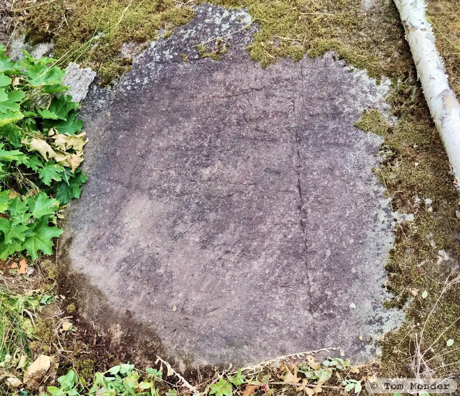 Rock carving L1957:4485 in Mönsterås parish, Mönsterås municipality