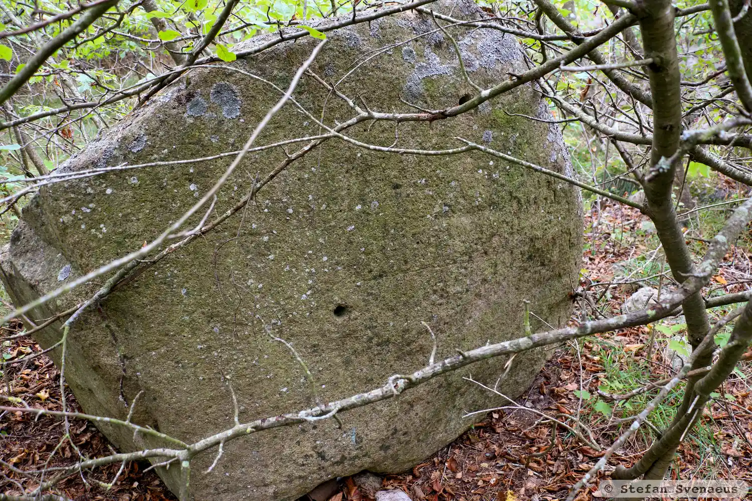 Rock carving L1957:9659 in Söderåkra parish, Torsås municipality