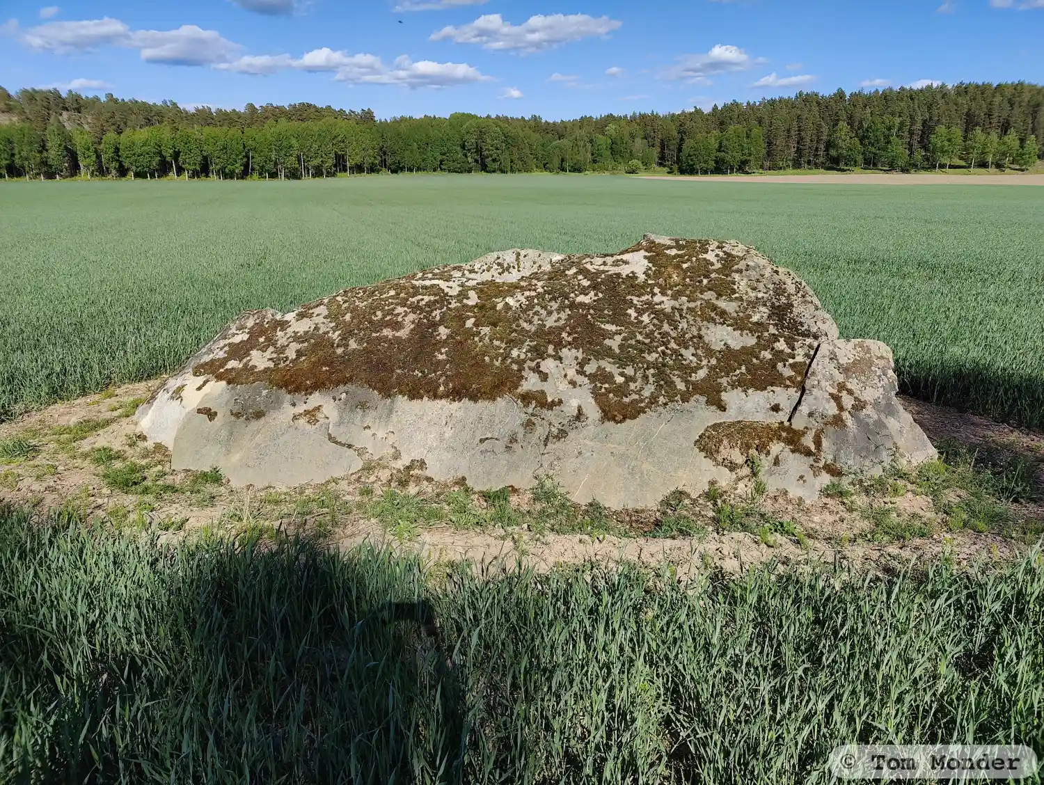 Felsritzung L1983:7310 in Åker kirchspiel, Strängnäs gemeinde
