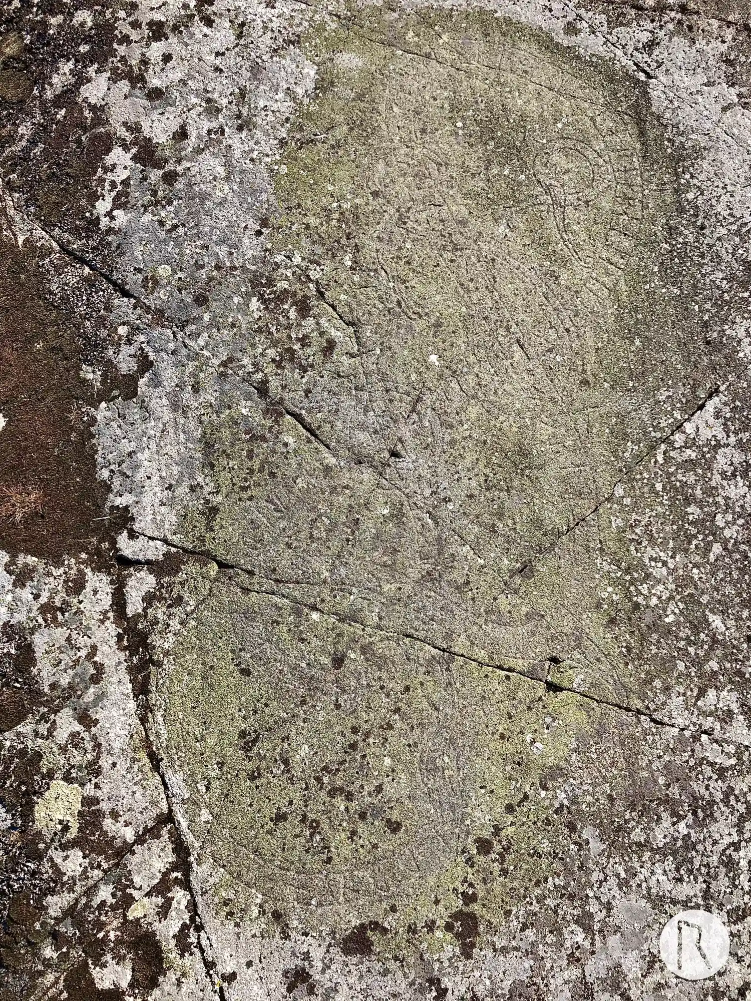 Runic rock inscription Hagby gärde, U143, L2014:1479 in Täby parish, Täby municipality