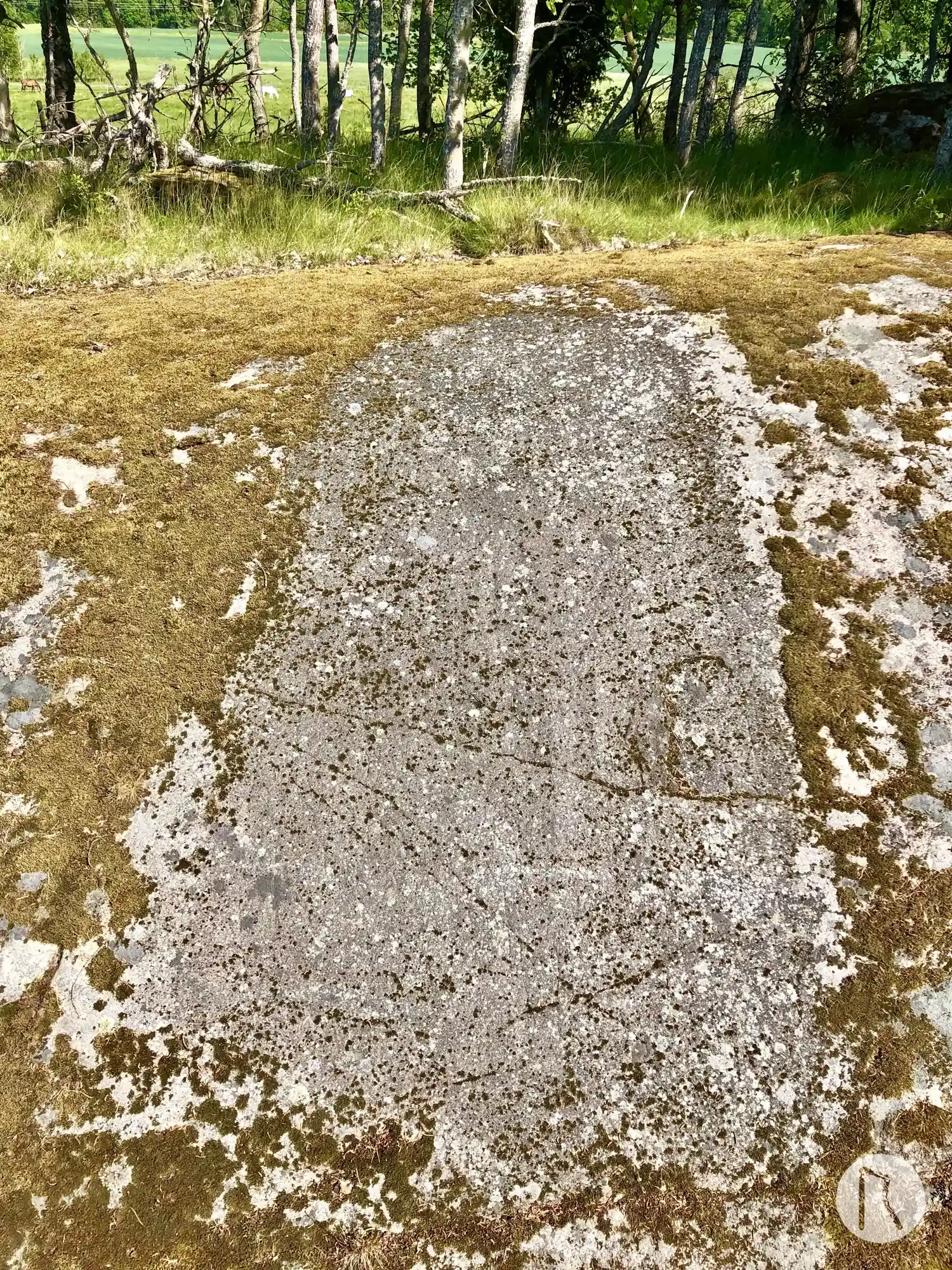 Runic rock inscription Hagby gärde, U144, L2014:1480 in Täby parish, Täby municipality
