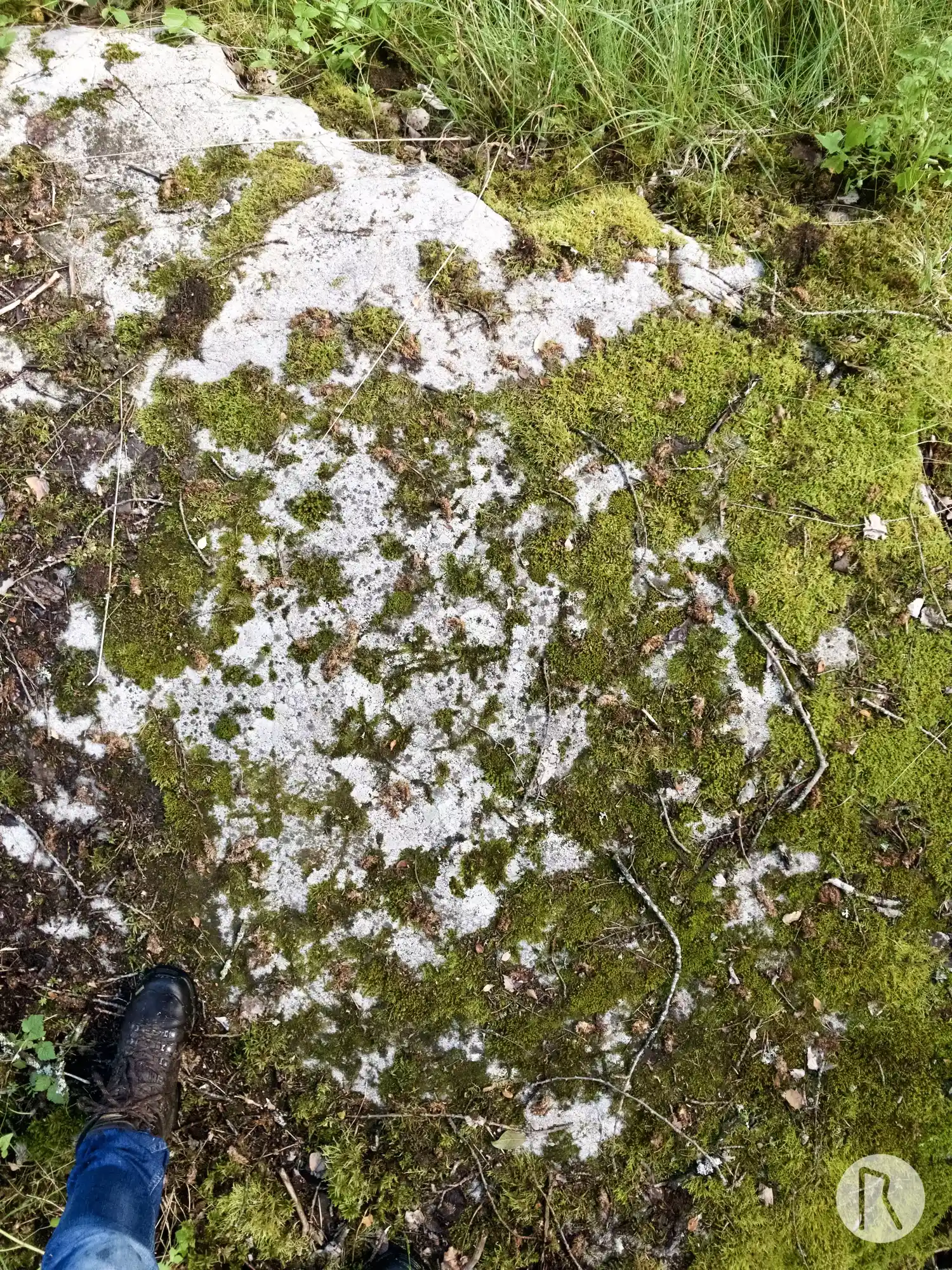 Runic rock inscription Hargs bro, U310, L2015:4606 in Skånela parish, Sigtuna municipality