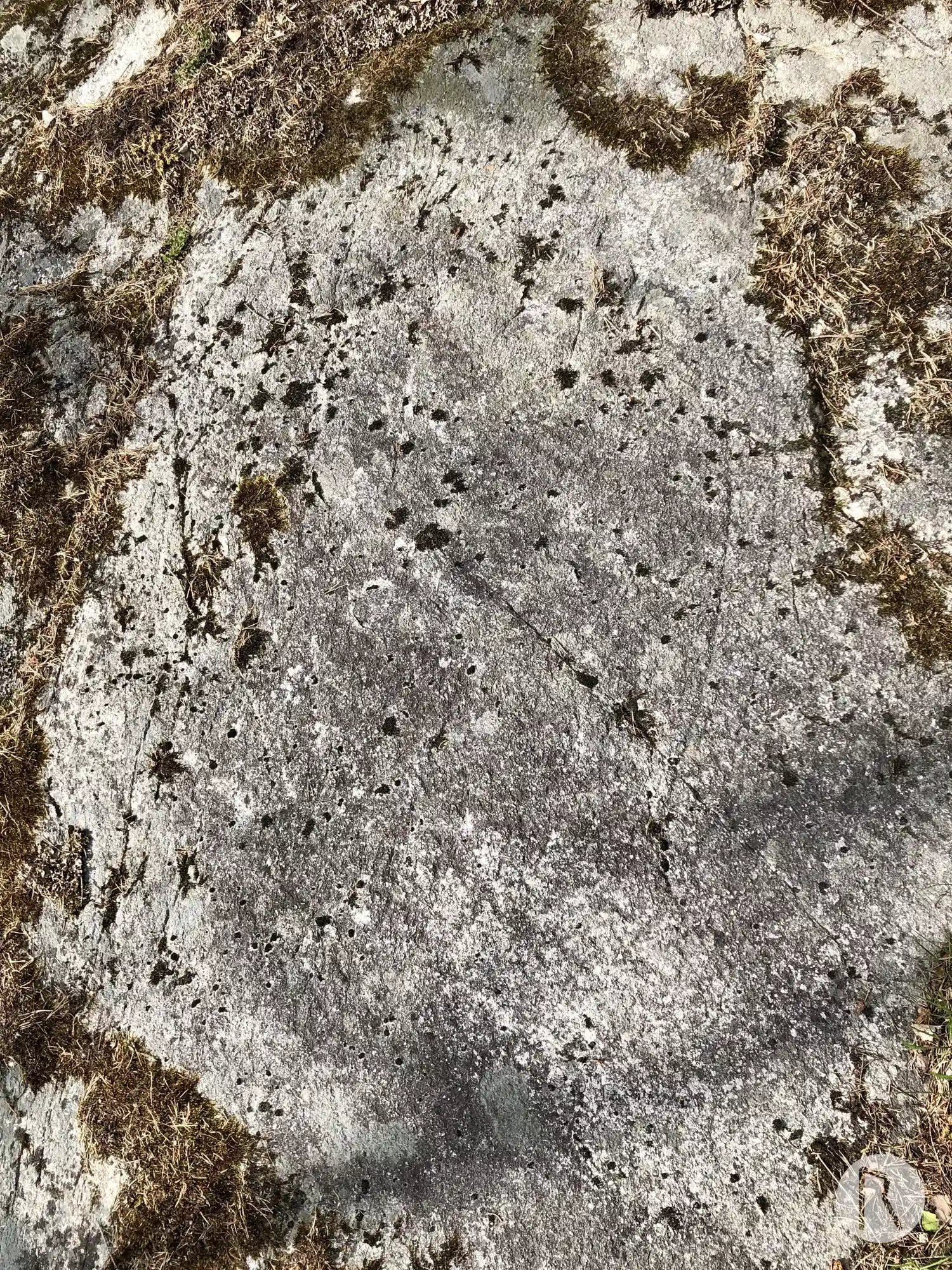 Runic rock inscription Kvarntorpshällen, UTHS10;58, L2014:18 in Täby parish, Täby municipality