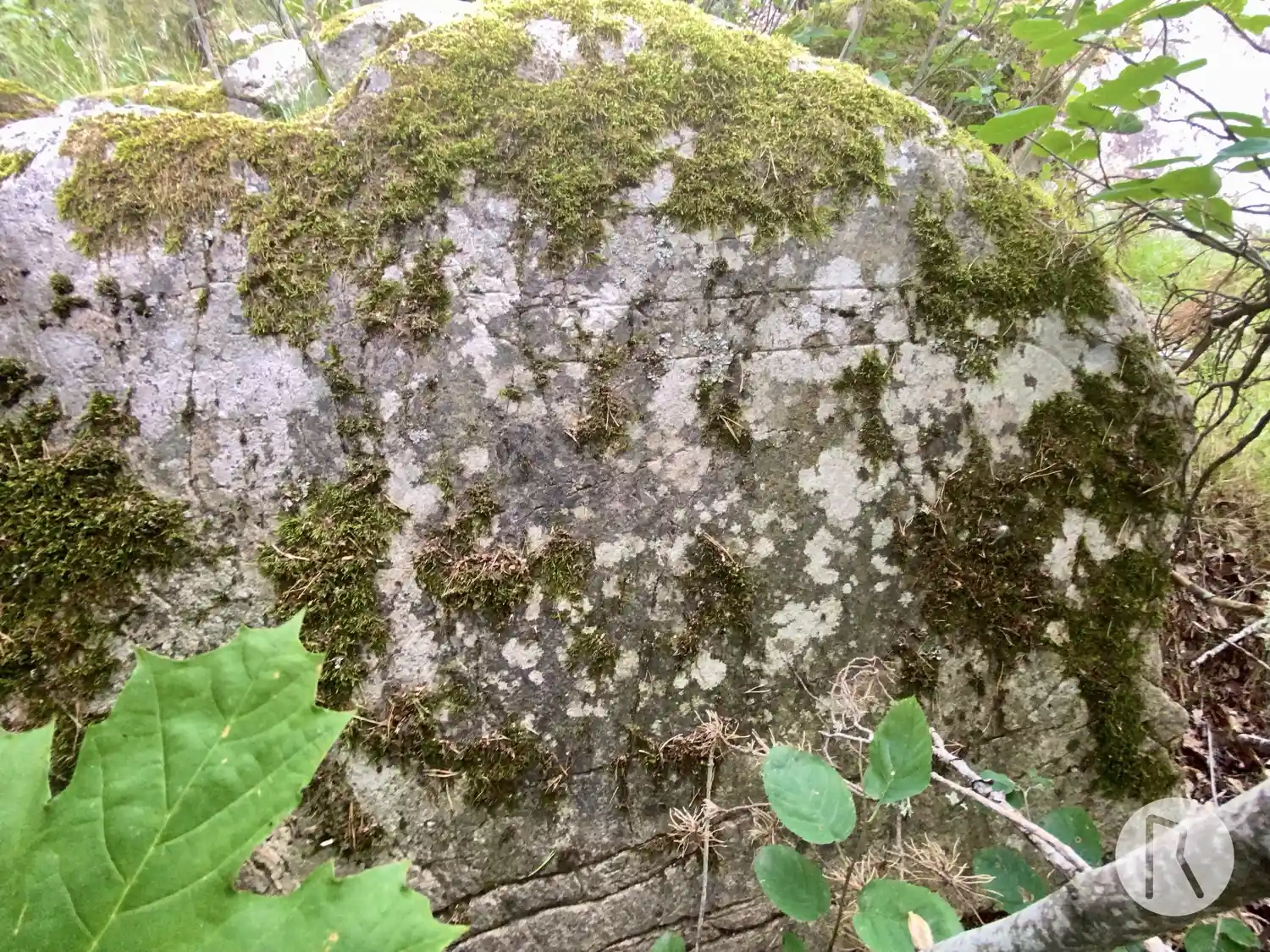 Rune inscriptions in Mariefred parish