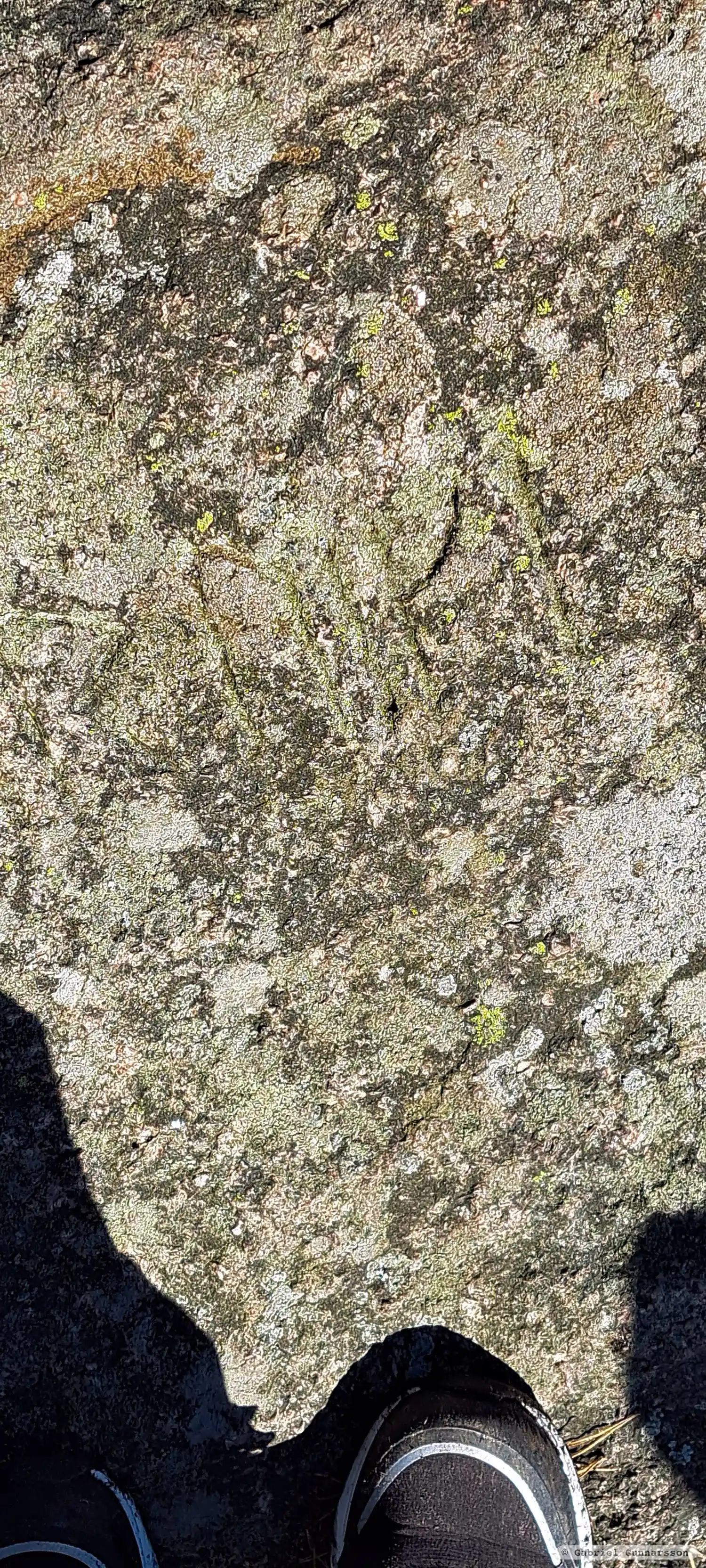 Runic rock inscription L2022:1140 in Jönköping parish, Jönköping municipality