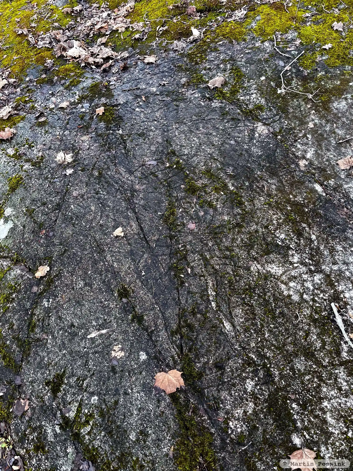 Runic rock inscription U102, L2015:4561 in Sollentuna parish, Sollentuna municipality