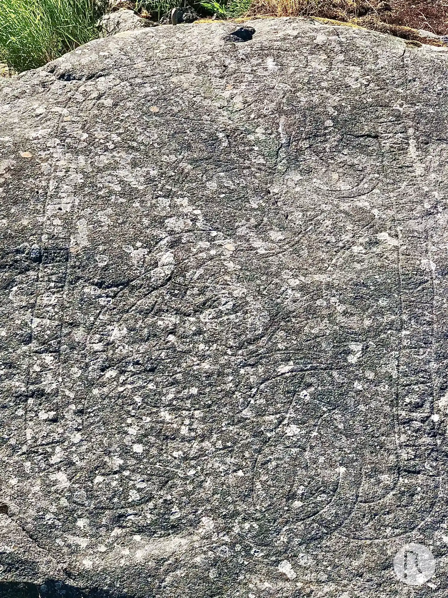 Runic rock inscription U163, L2014:155 in Täby parish, Täby municipality