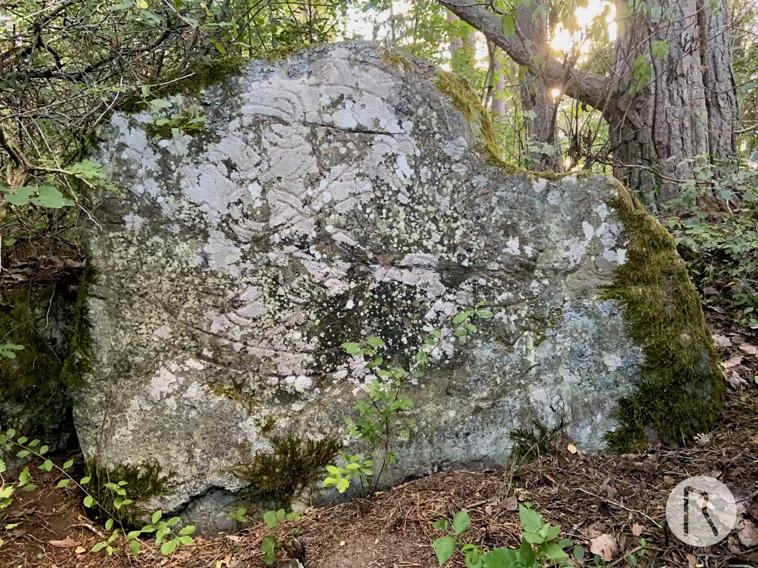 Runic rock inscription U244, L2014:2071 in Vallentuna parish, Vallentuna municipality