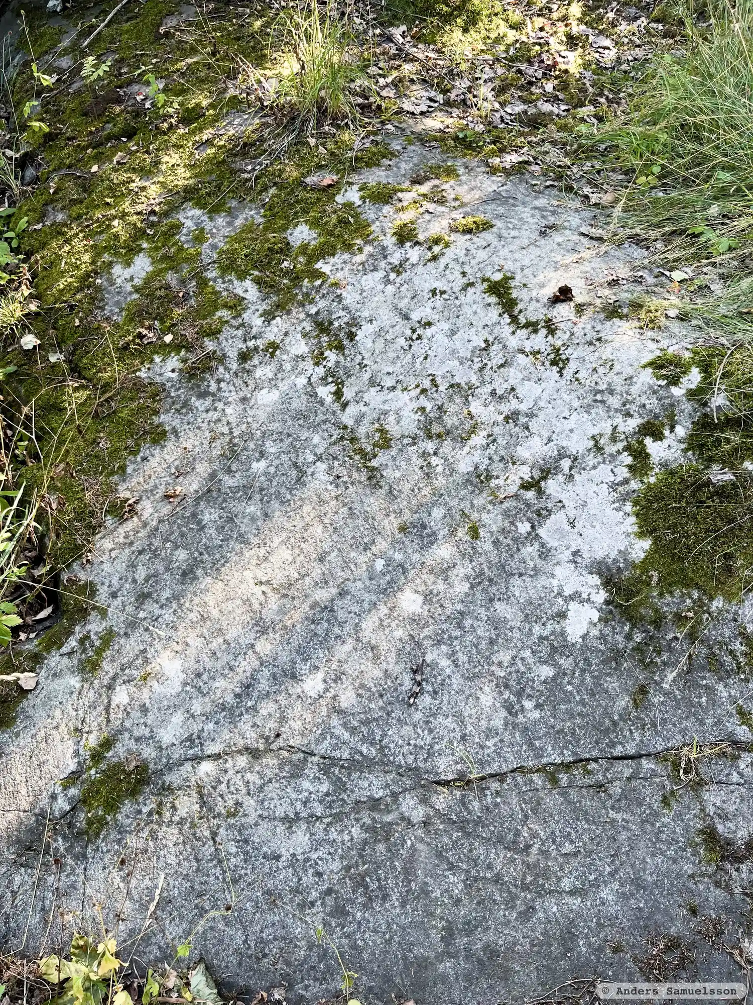 Runic rock inscription U81, L2012:488 in Stockholm parish, Stockholm municipality