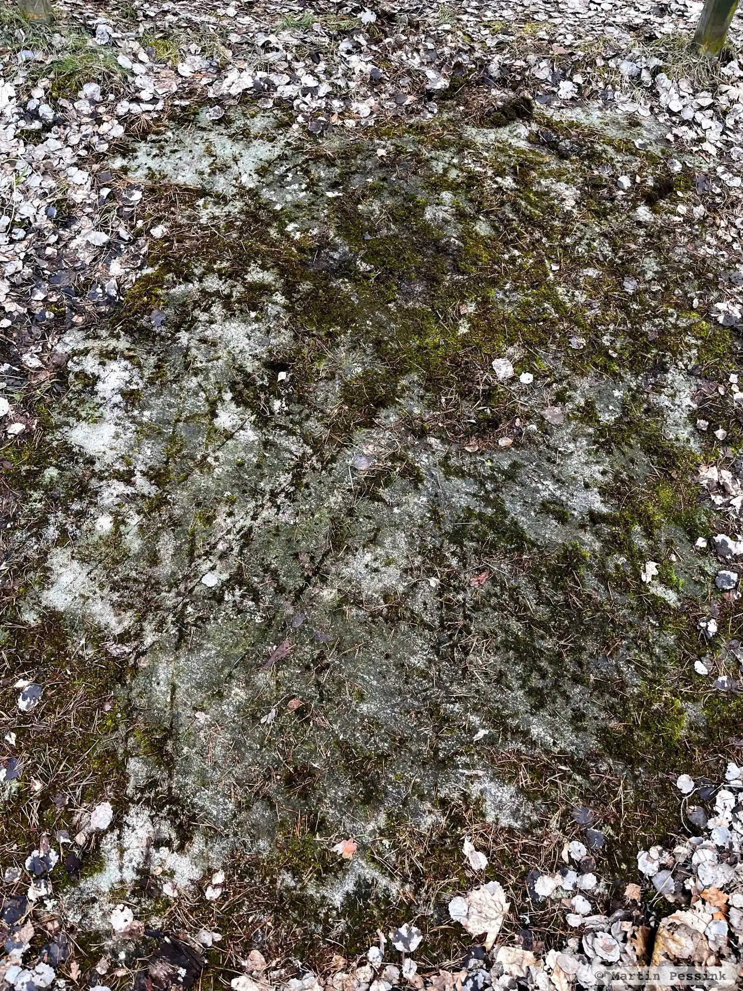 Runic rock inscription U99, L2015:5108 in Sollentuna parish, Sollentuna municipality