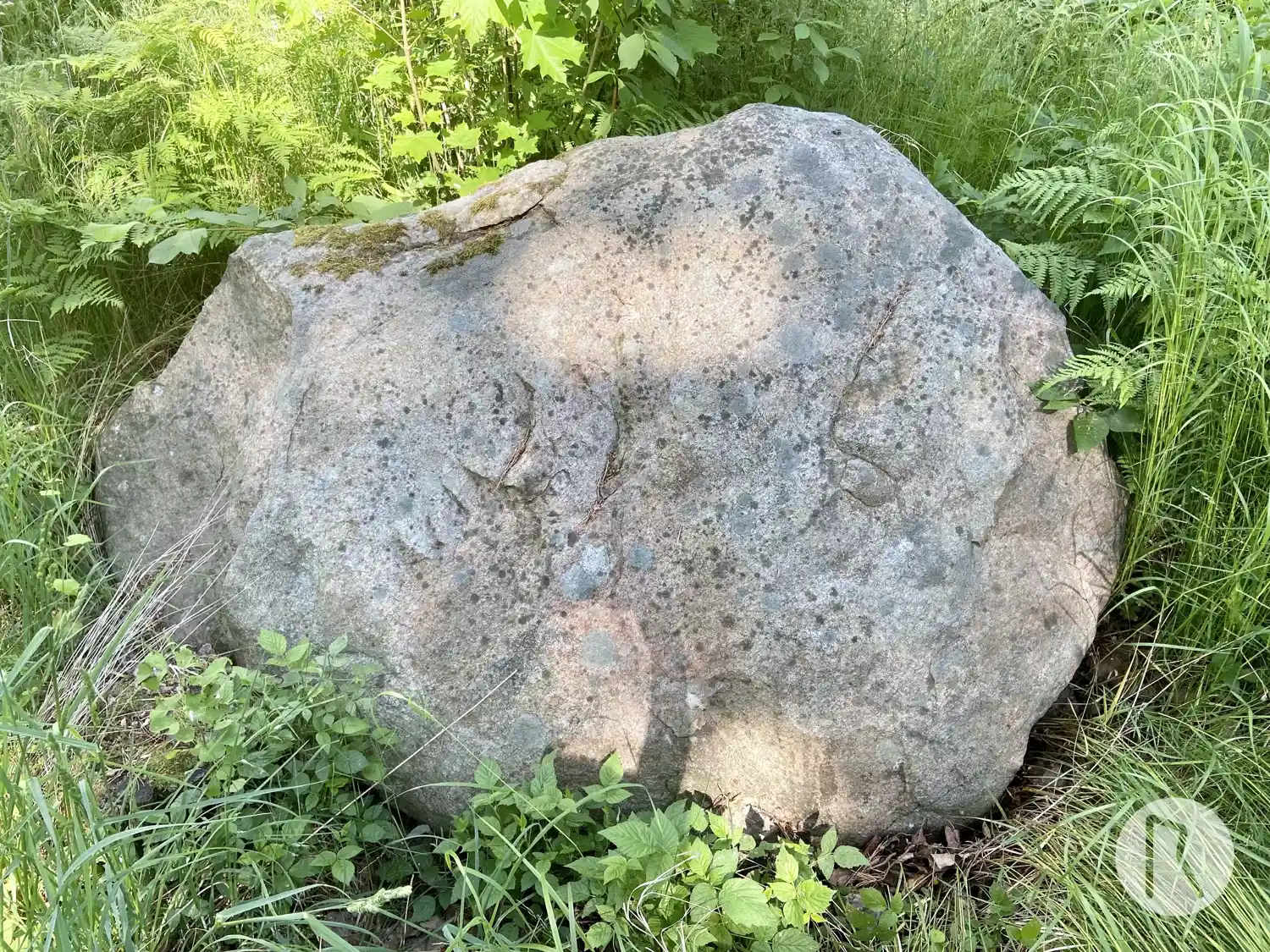 Runic rock inscription UATA4741/44, L2014:8079 in Stockholm parish, Stockholm municipality