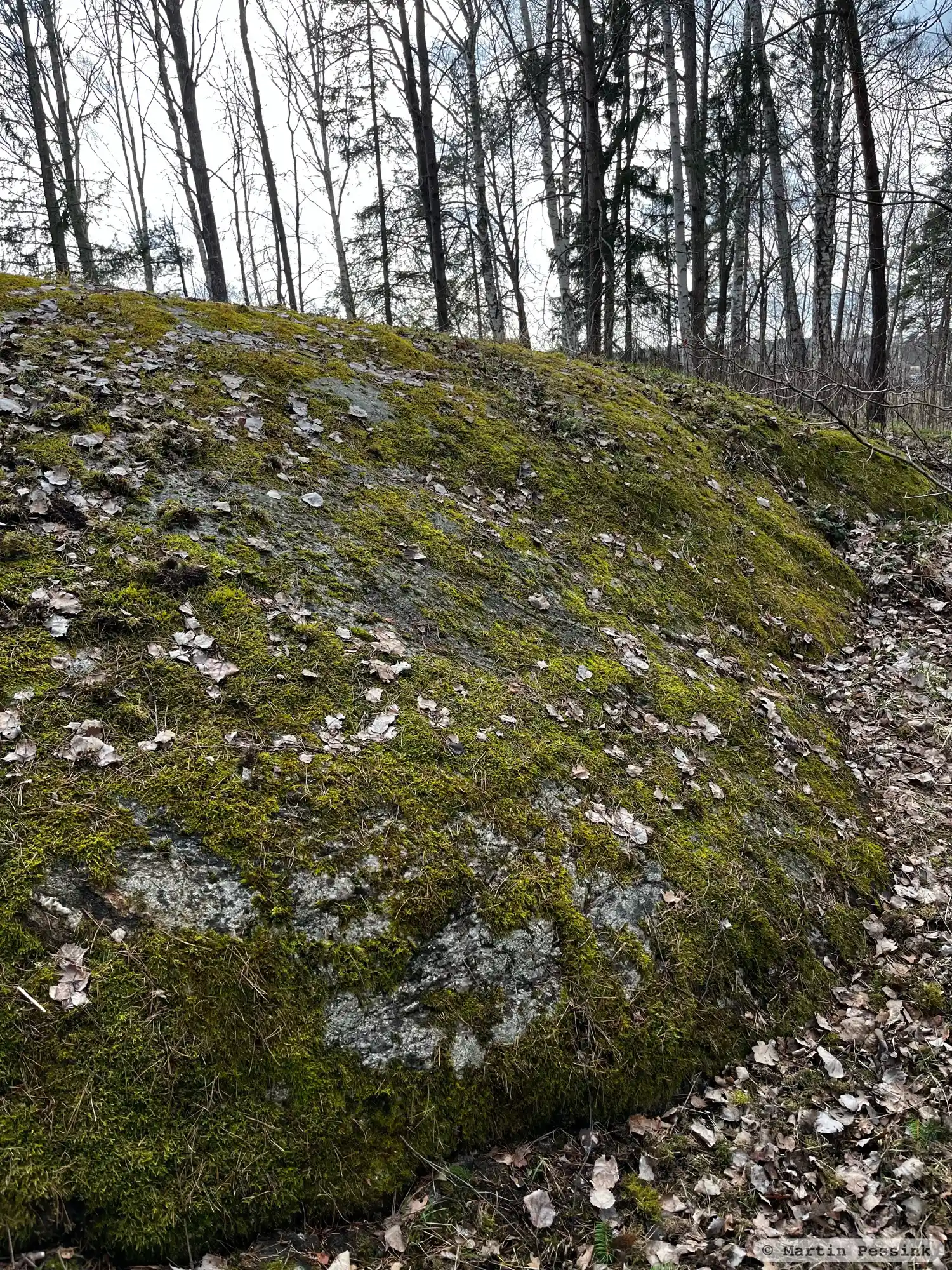 Runic rock inscription URR1987;134, L2013:1590 in Stockholm parish, Stockholm municipality