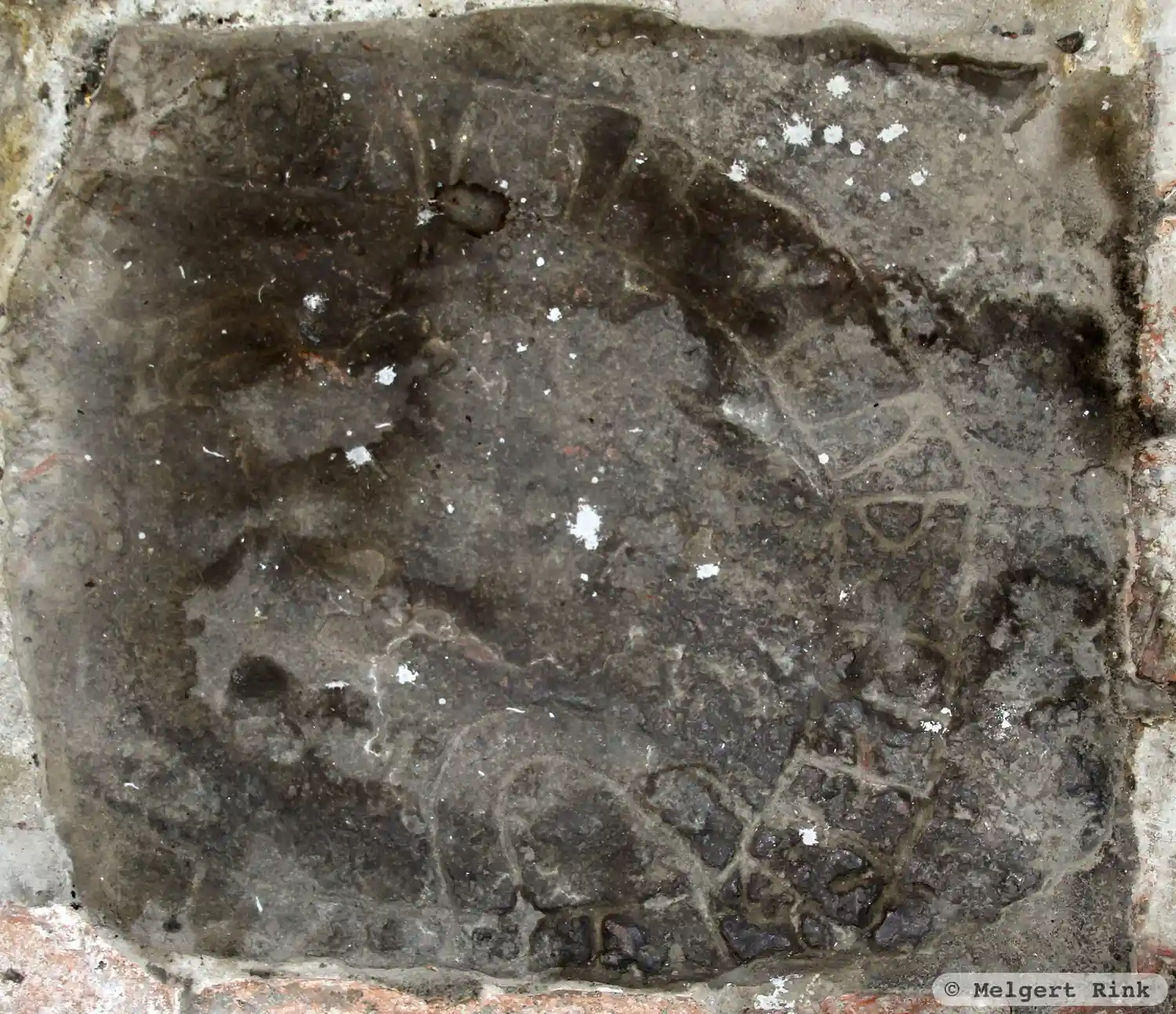 Рунічний напис U24, L2016:658 у Hilleshög парафія, Ekerö муніципалітет