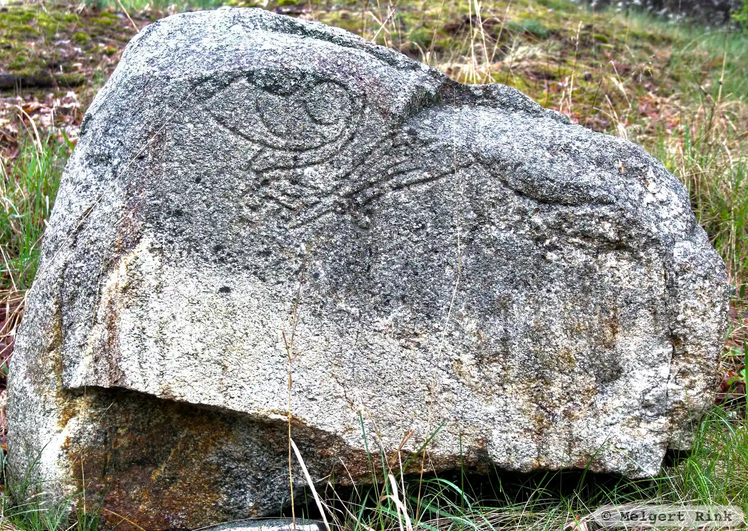 Runristning UFv1979;245, L2015:5607 i Skånela socken, Sigtuna kommun