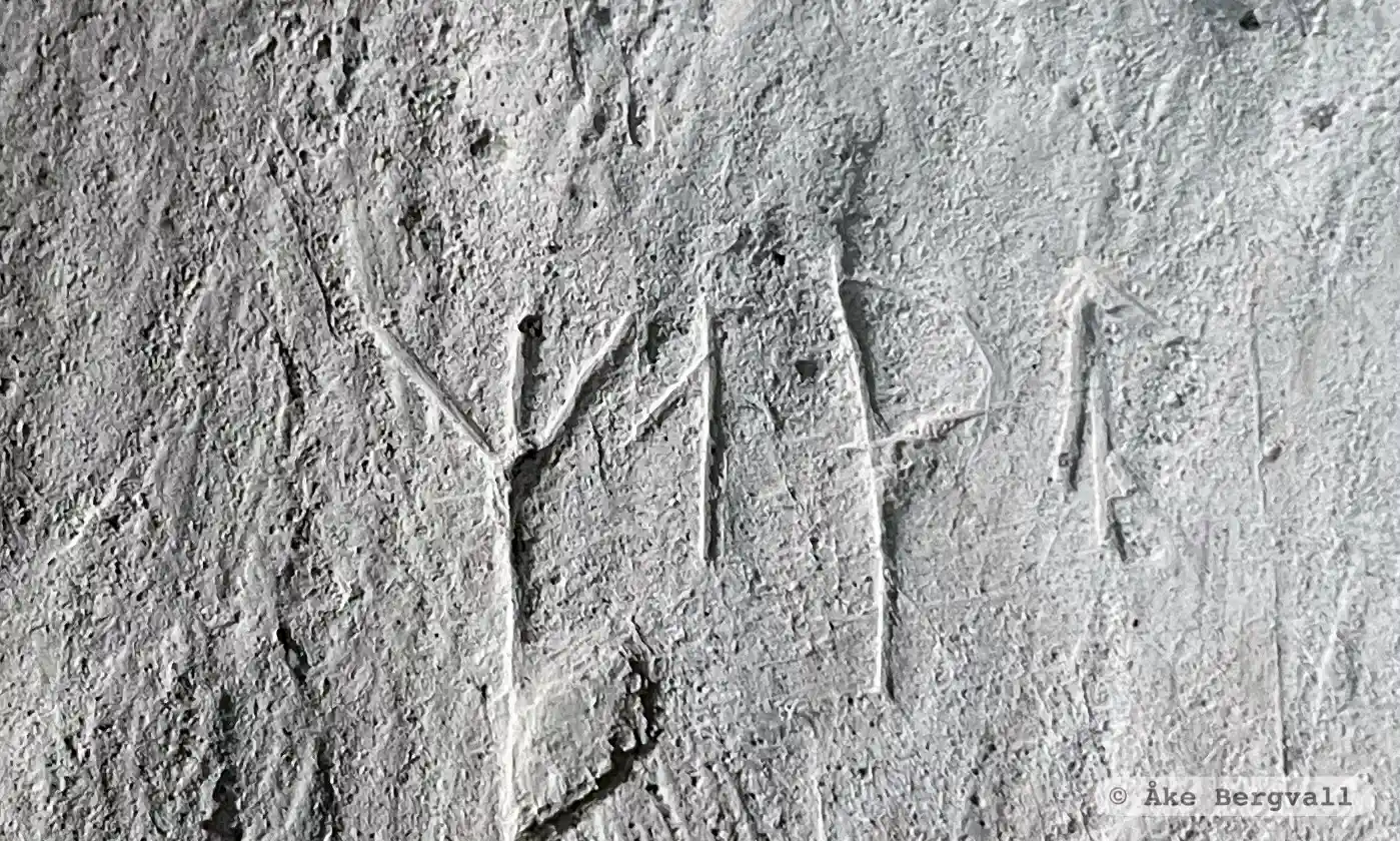 Runic inscription Vg209, L1962:5247 in Kinne-Vedum parish, Götene municipality