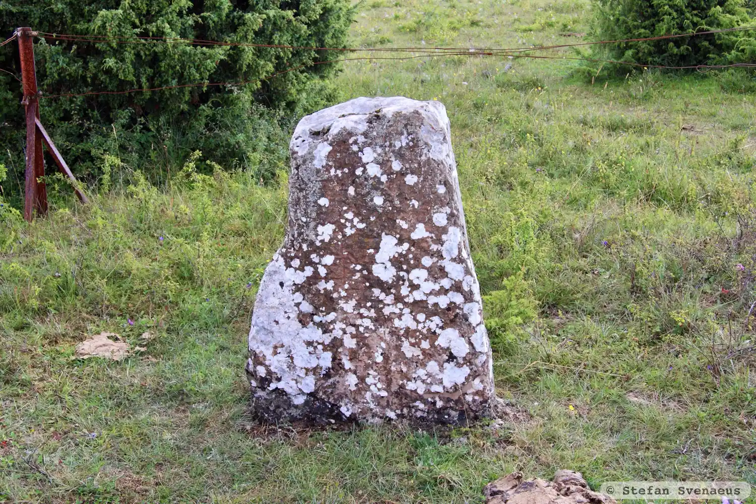 Rune-stone Björnflisan, Öl25, L1958:3469 in Gårdby parish, Mörbylånga municipality