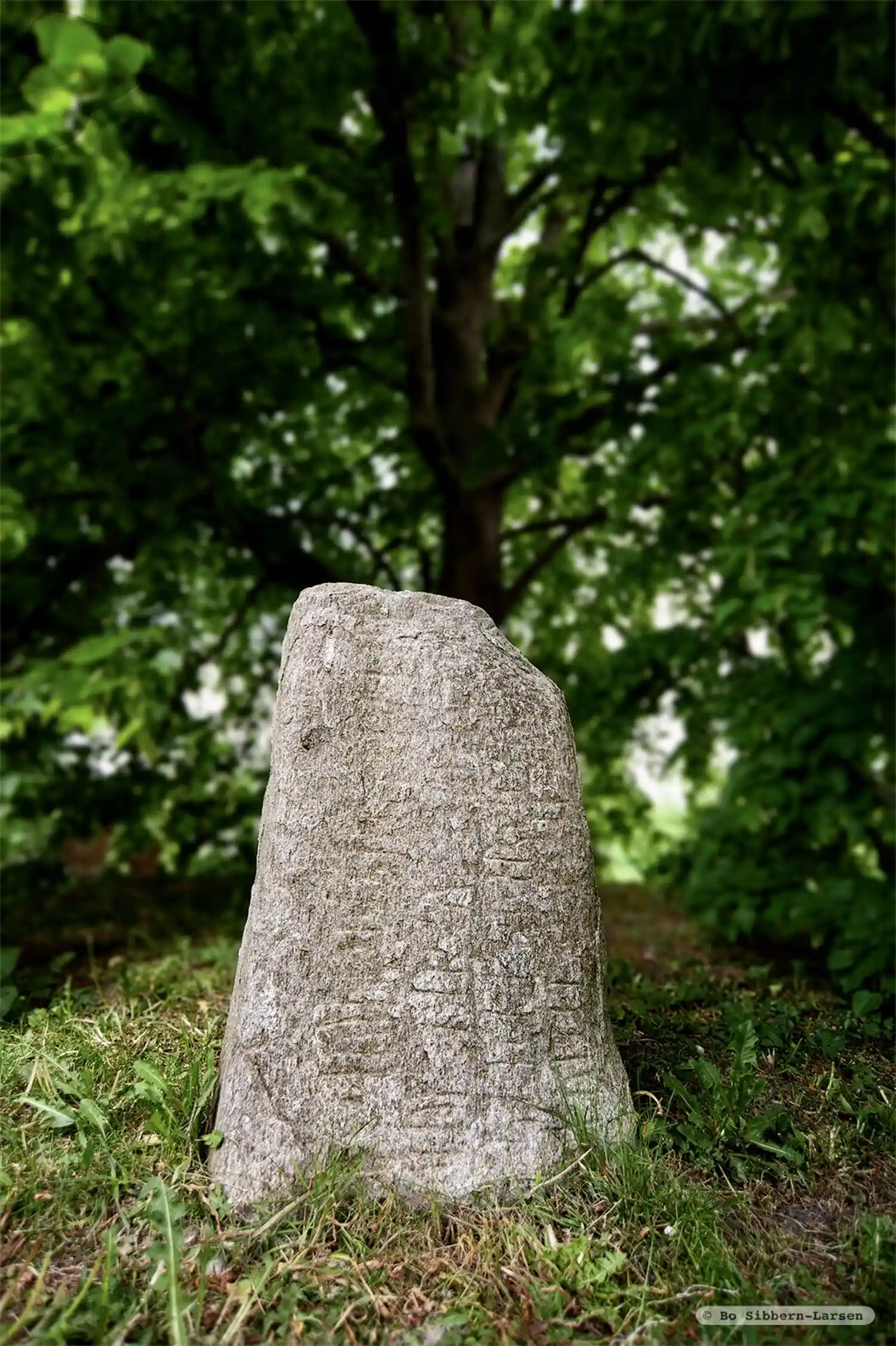 Rune inscriptions in Fuglie parish