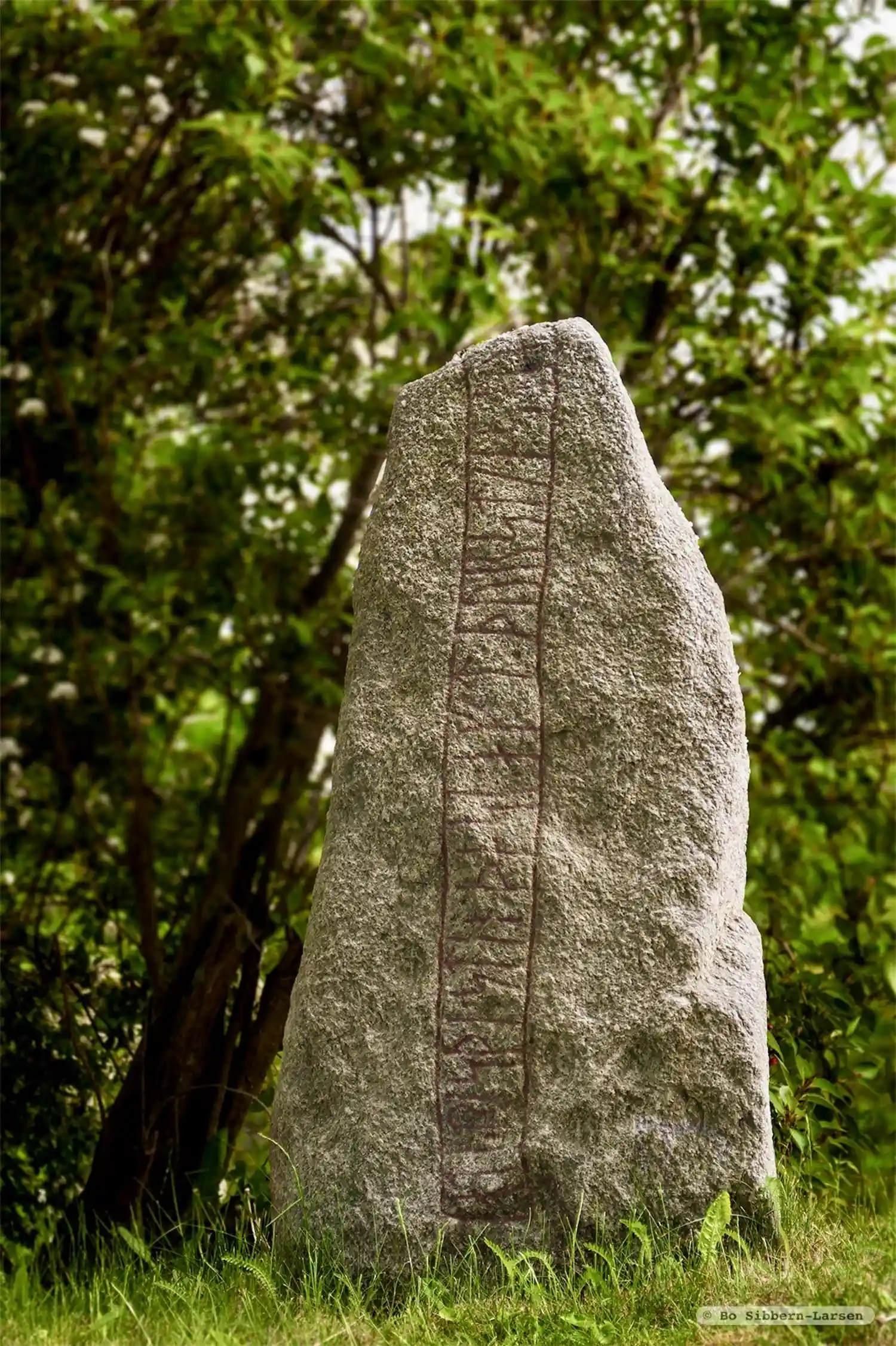 Rune-stone DR260, L1988:860 in Fuglie parish, Trelleborg municipality