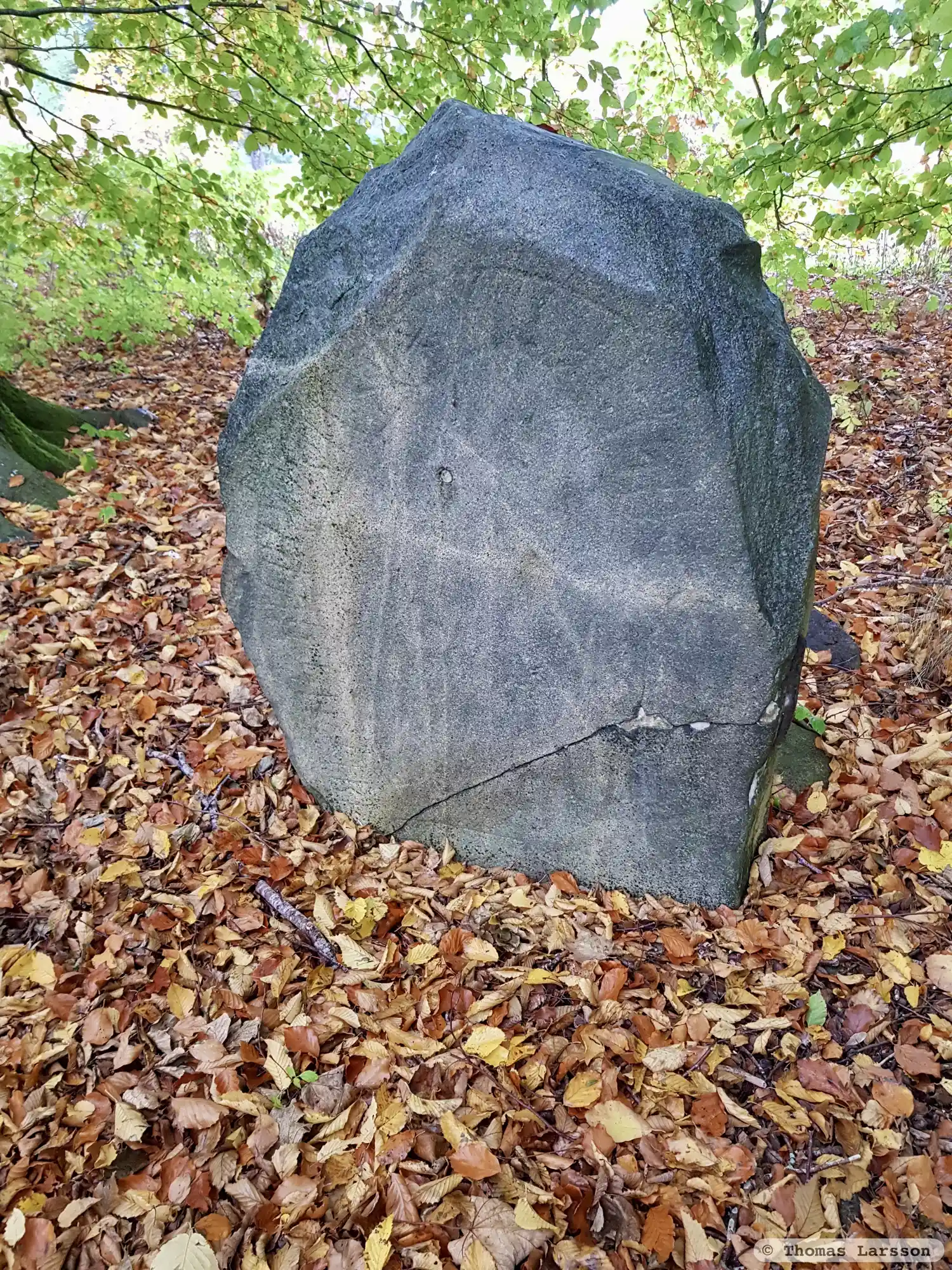 Rune-stone DR276, L1989:4370 in Örsjö parish, Skurup municipality