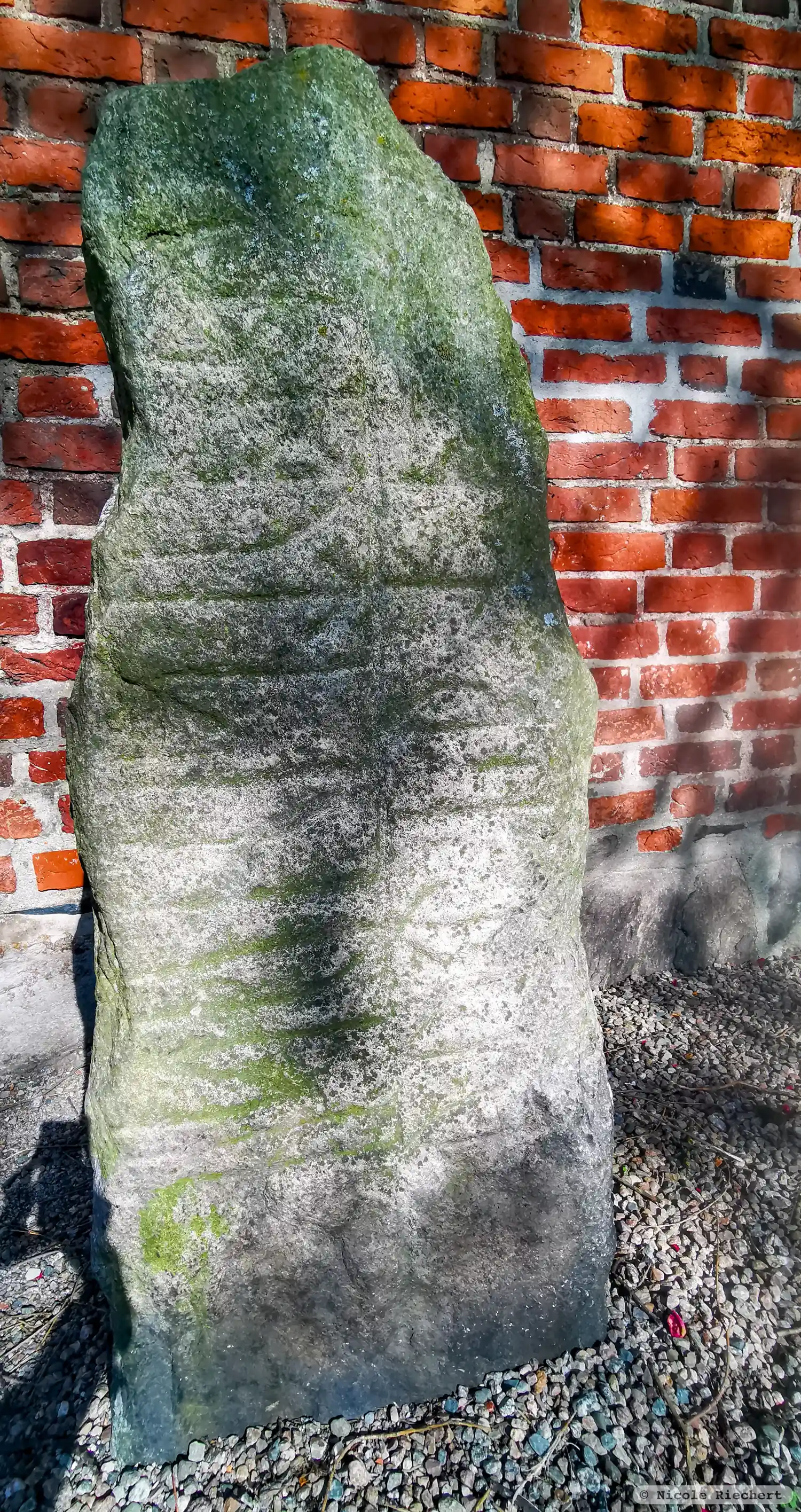 Rune-stone DR356, L1979:6773 in Sölvesborg parish, Sölvesborg municipality