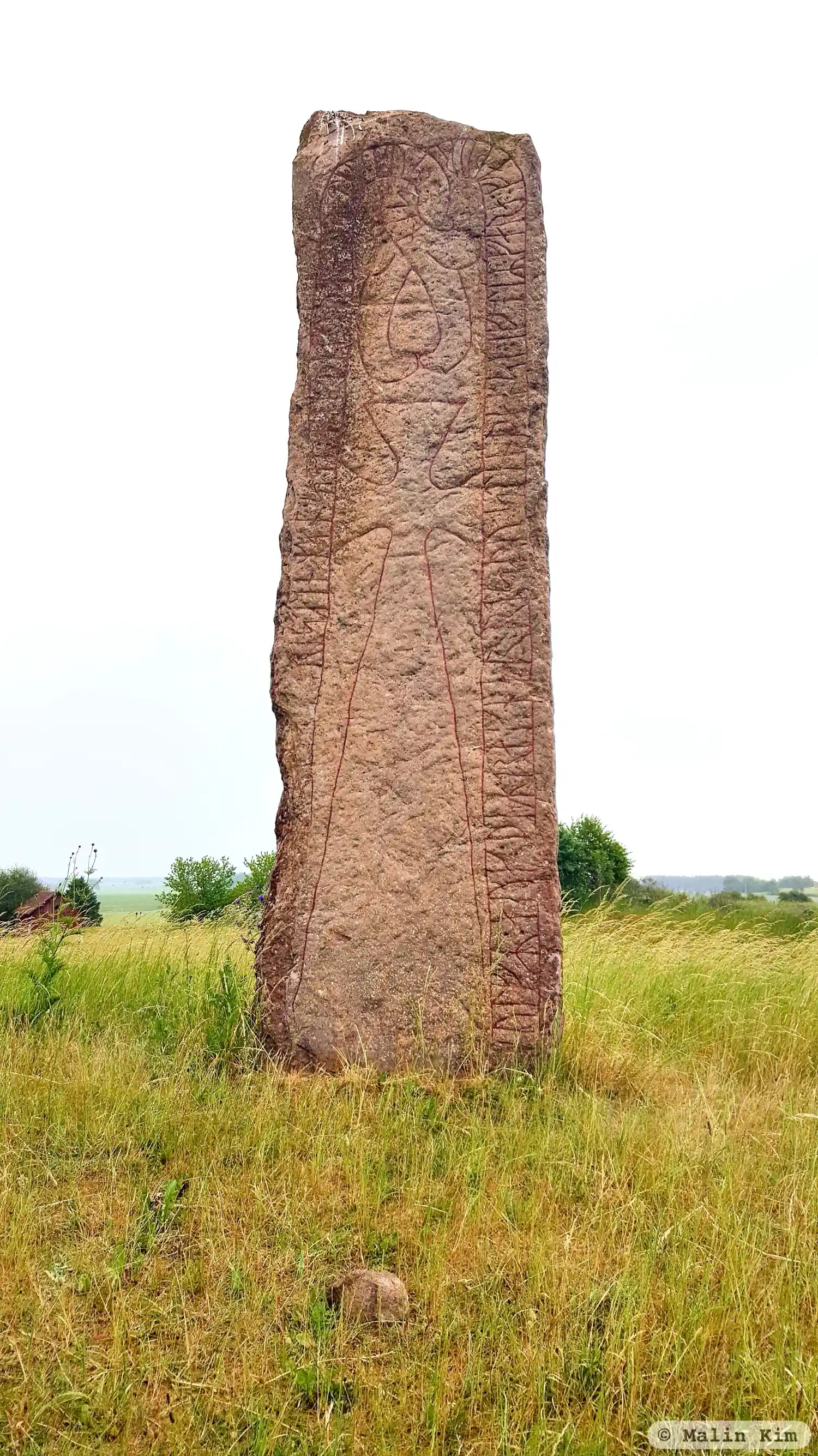 Rune-stone Källby hallar, Vg55, L1962:8092 in Källby parish, Götene municipality
