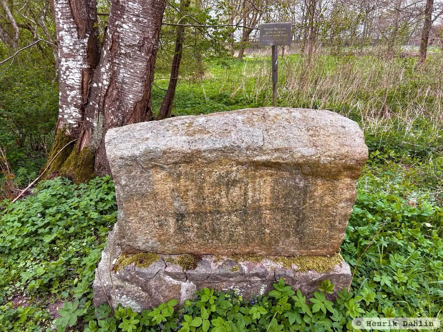 Rune-stone Källstorpstenen eller Jordbergastenen, DR269, L1989:8364 in Källstorp parish, Trelleborg municipality