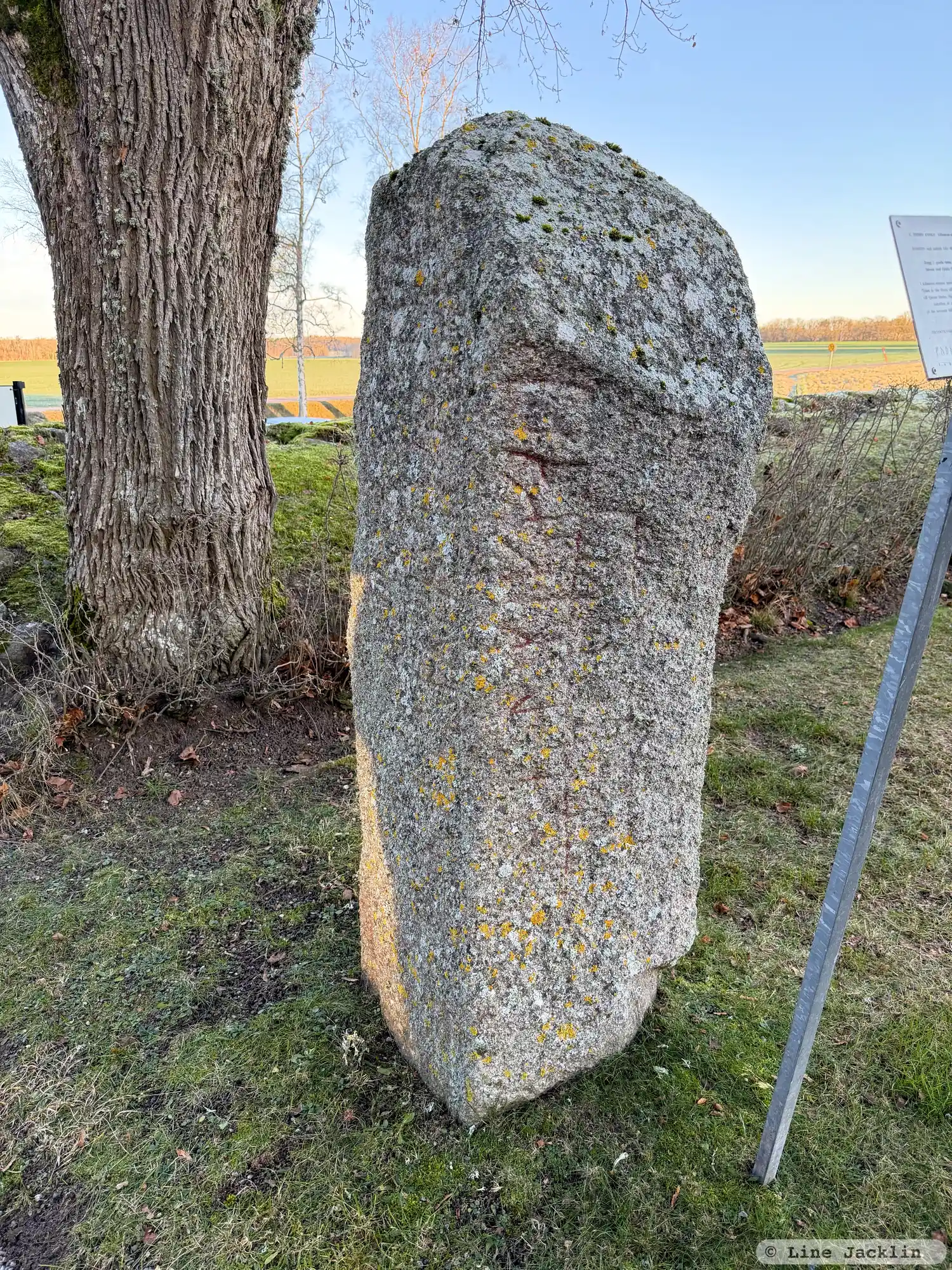 Rune-stone Kälvesten, Ög8, L2009:2488 in Västra Stenby parish, Motala municipality