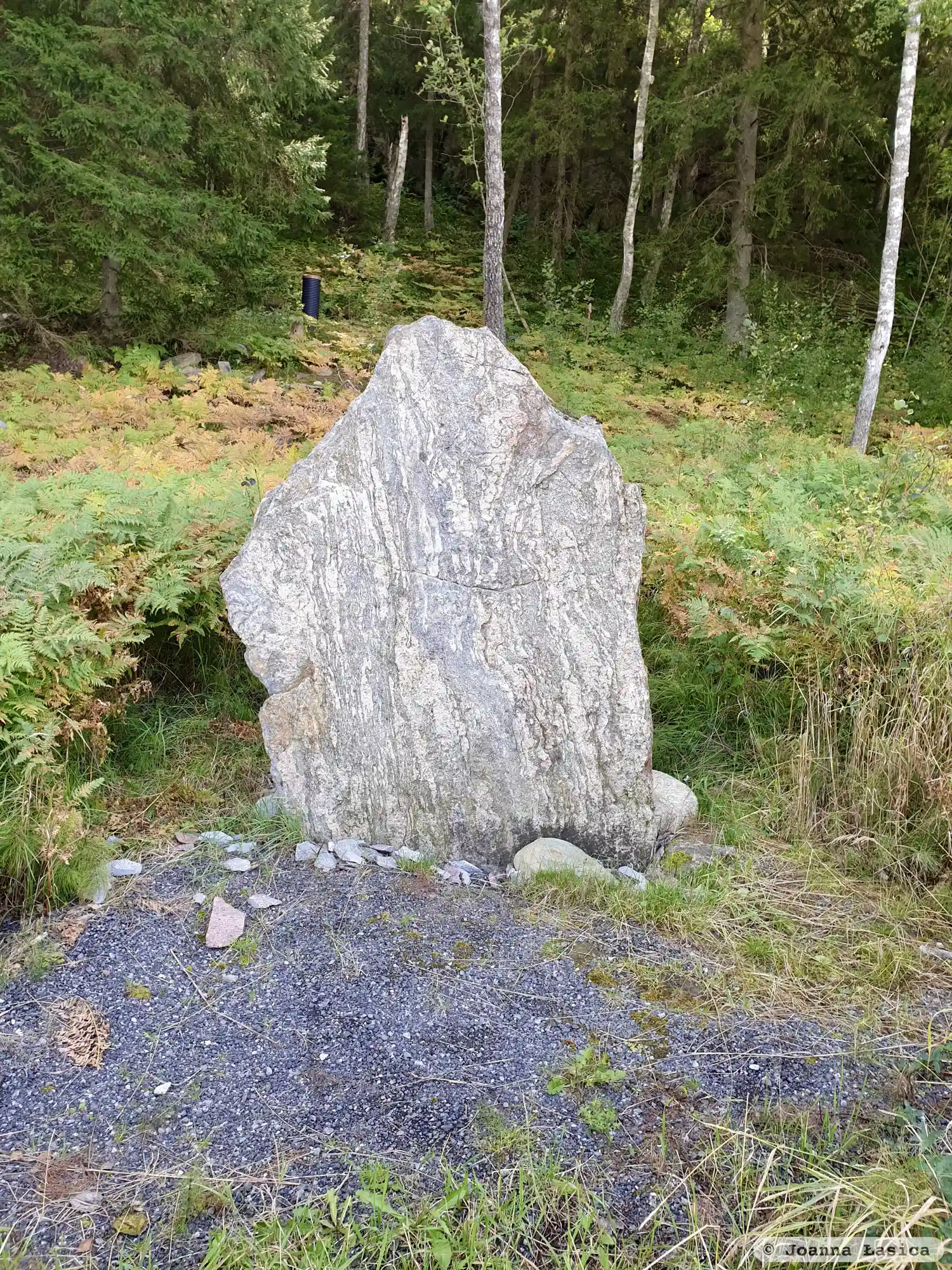 Pierre runique Korsstenen, Sö264, L2014:3939 à Österhaninge paroisse, Haninge commune