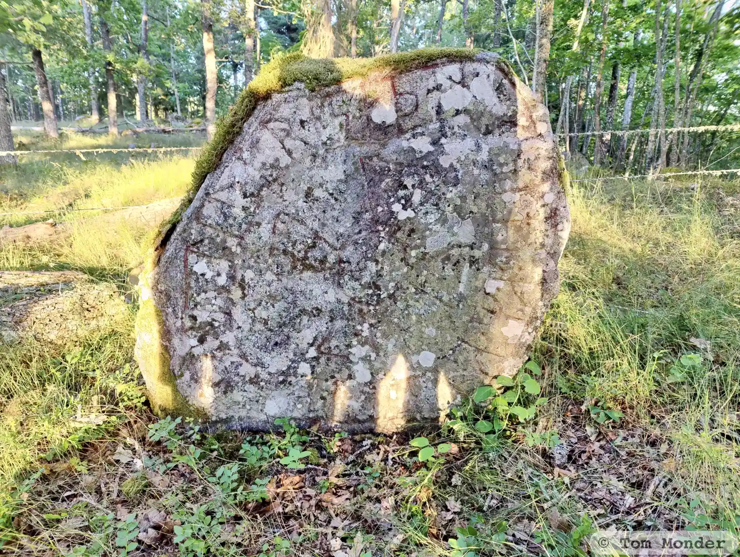 Rune-stone L1984:1087 in Helgesta parish, Flen municipality