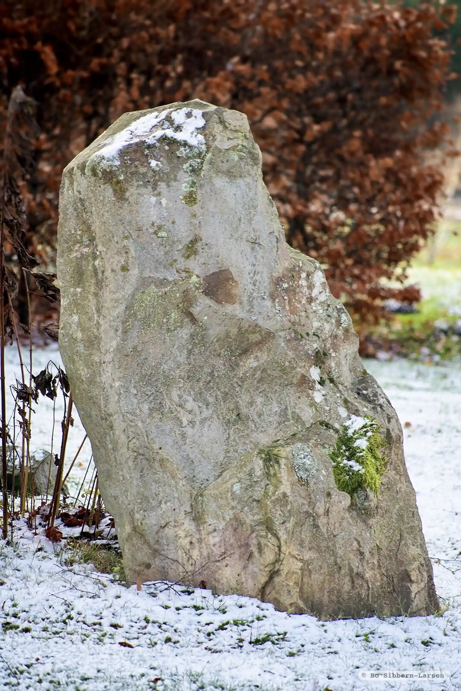 Rune-stone L1990:8482 in Konga parish, Svalöv municipality