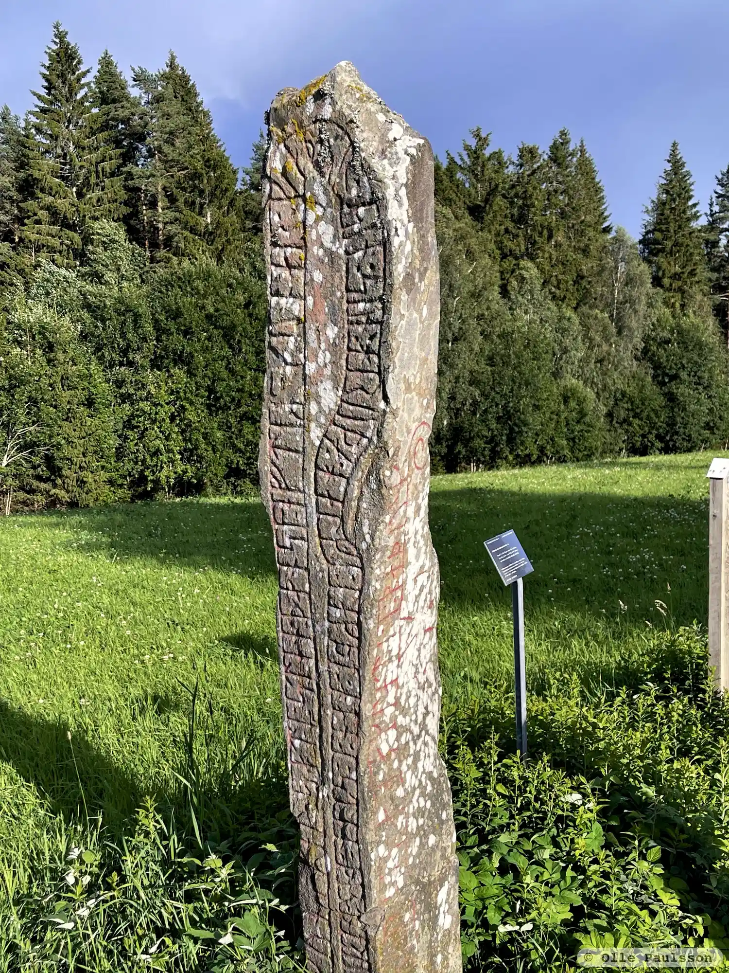 Rune-stone Nävelsjöstenen, Sm101, L1973:4994 in Nävelsjö parish, Vetlanda municipality
