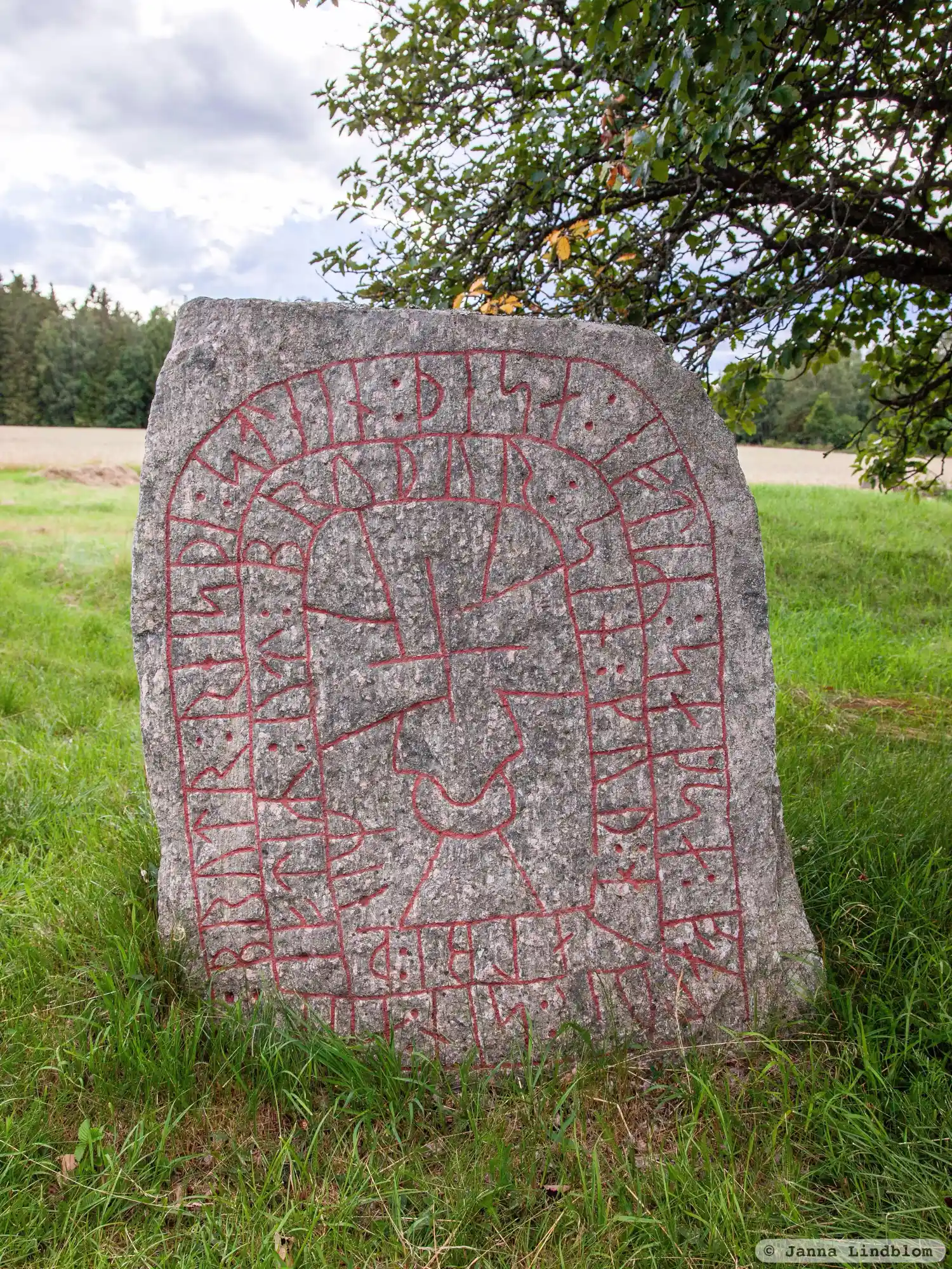 Rune-stone Ög133, L2012:7919 in Heda parish, Ödeshög municipality