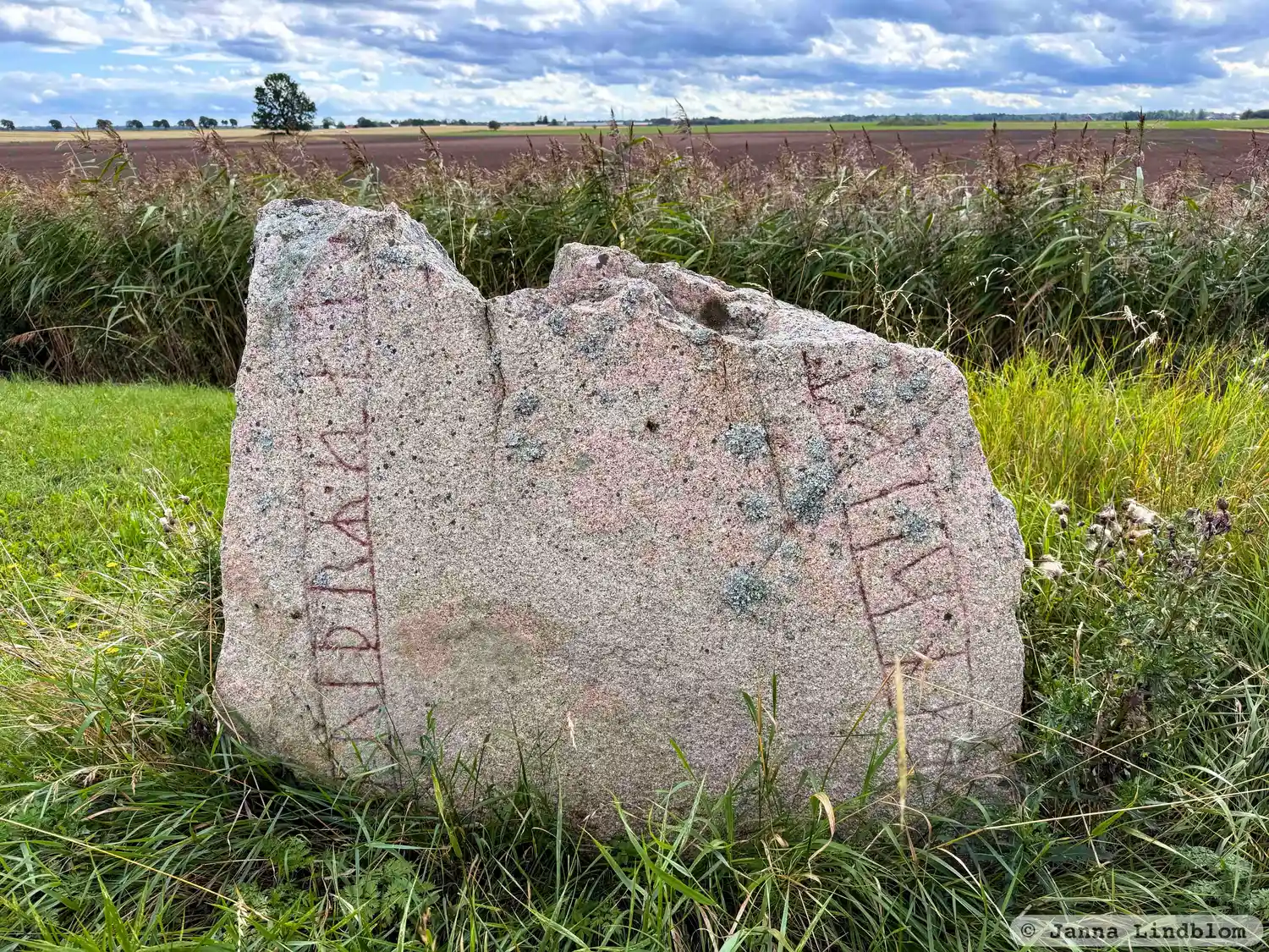 Rune-stone Ög134, L2011:3249 in Kumla parish, Kumla municipality