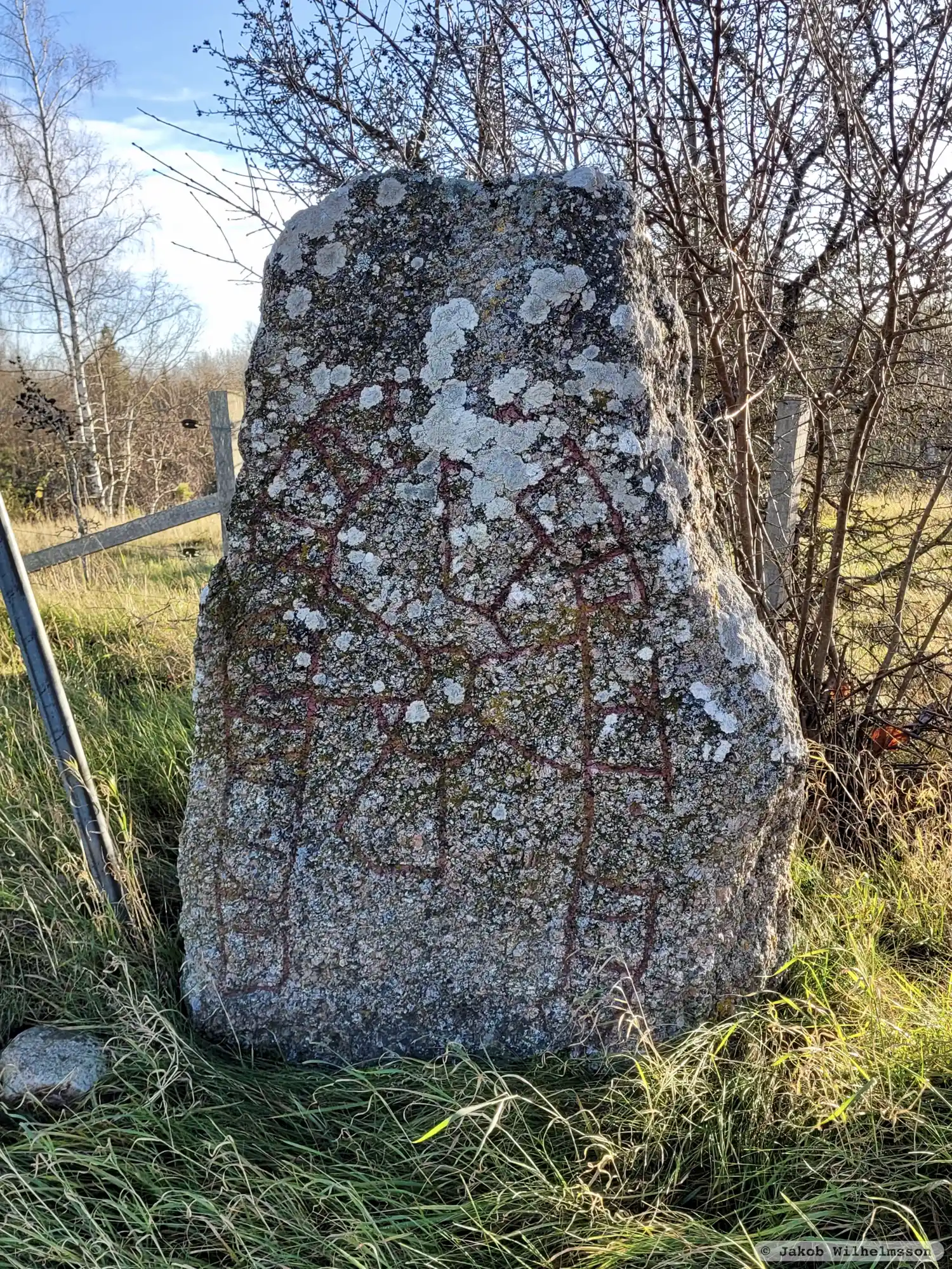 Rune-stone Ög183, L2011:4120 in Ledberg parish, Linköping municipality