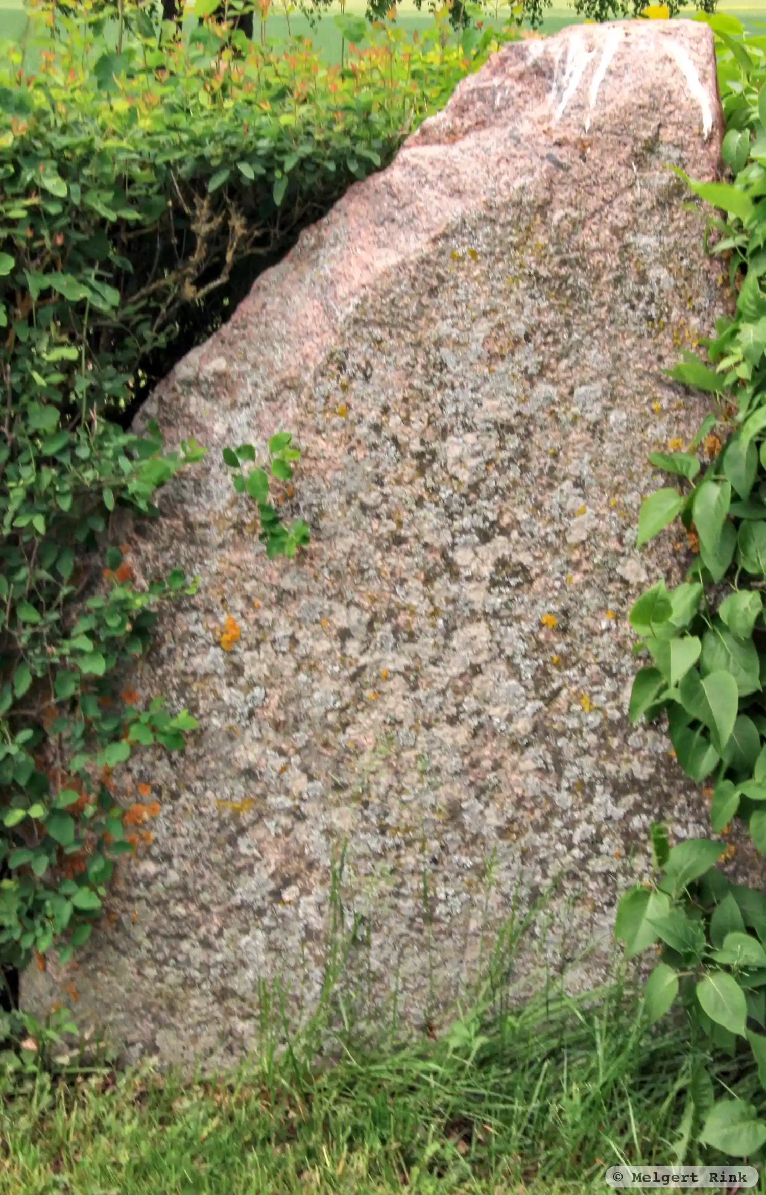 Rune-stone Ög214, L2010:5788 in Västerlösa parish, Linköping municipality