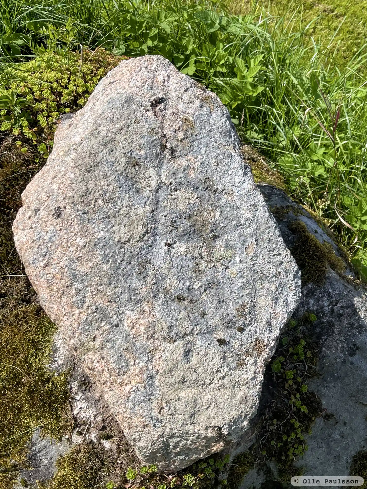 Rune inscriptions in Sund parish