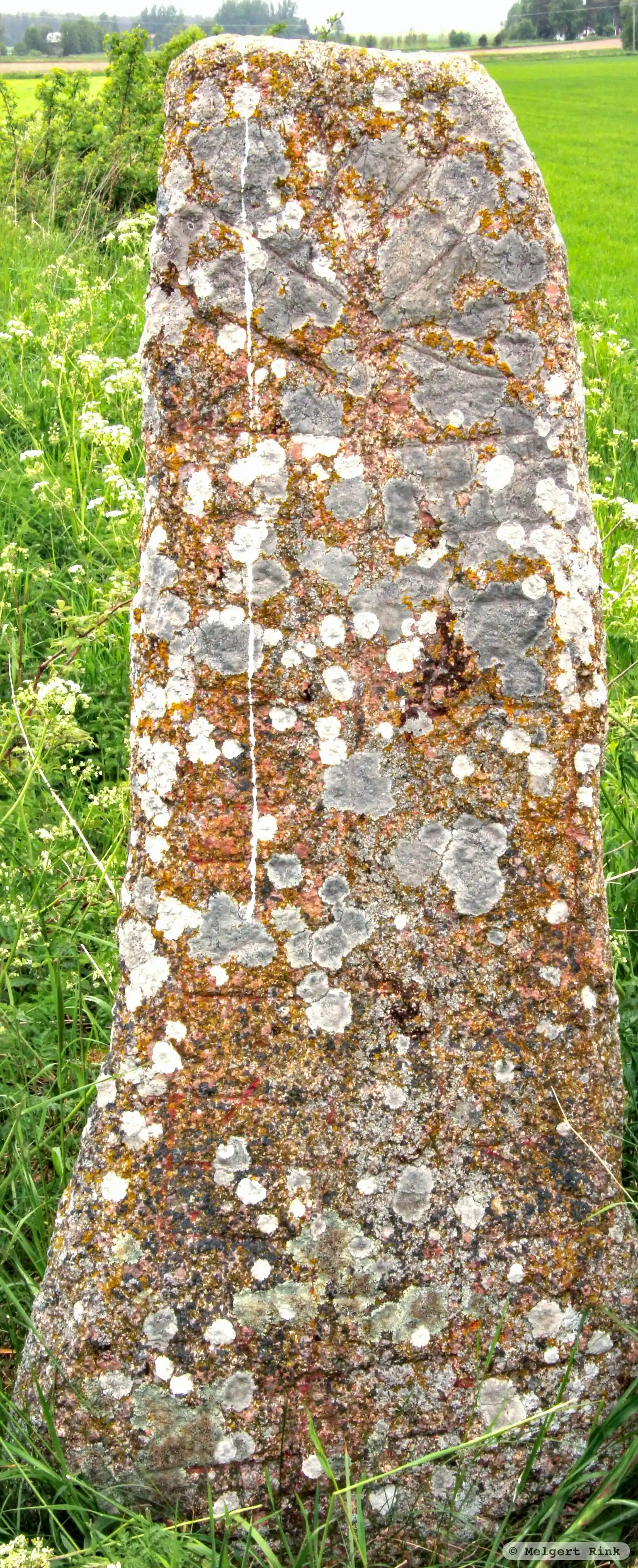 Rune-stone Ög88, L2011:442 in Högby parish, Mjölby municipality