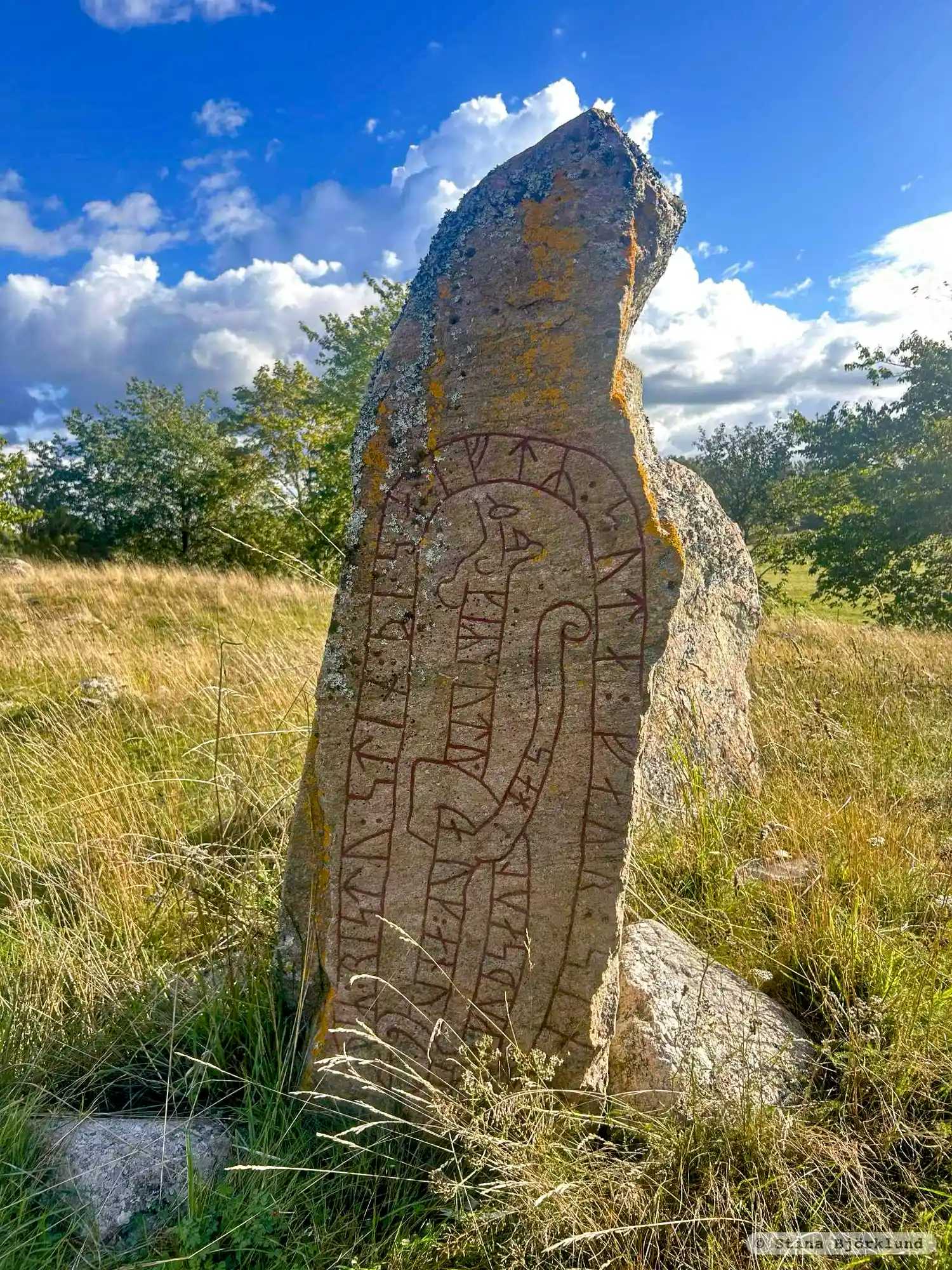 Rune-stone Ög99, L2011:5595 in Mogata parish, Söderköping municipality