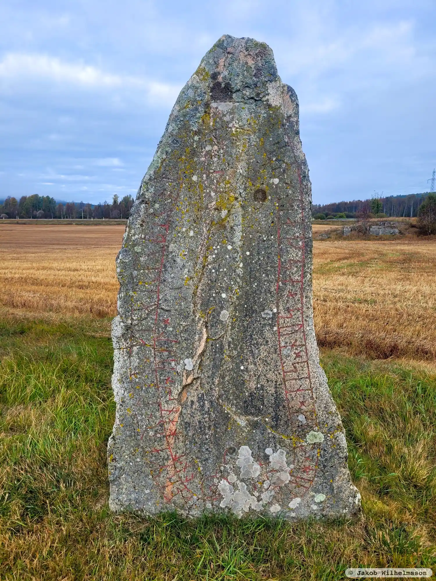 Rune-stone Sm100, L1973:9248 in Nävelsjö parish, Vetlanda municipality