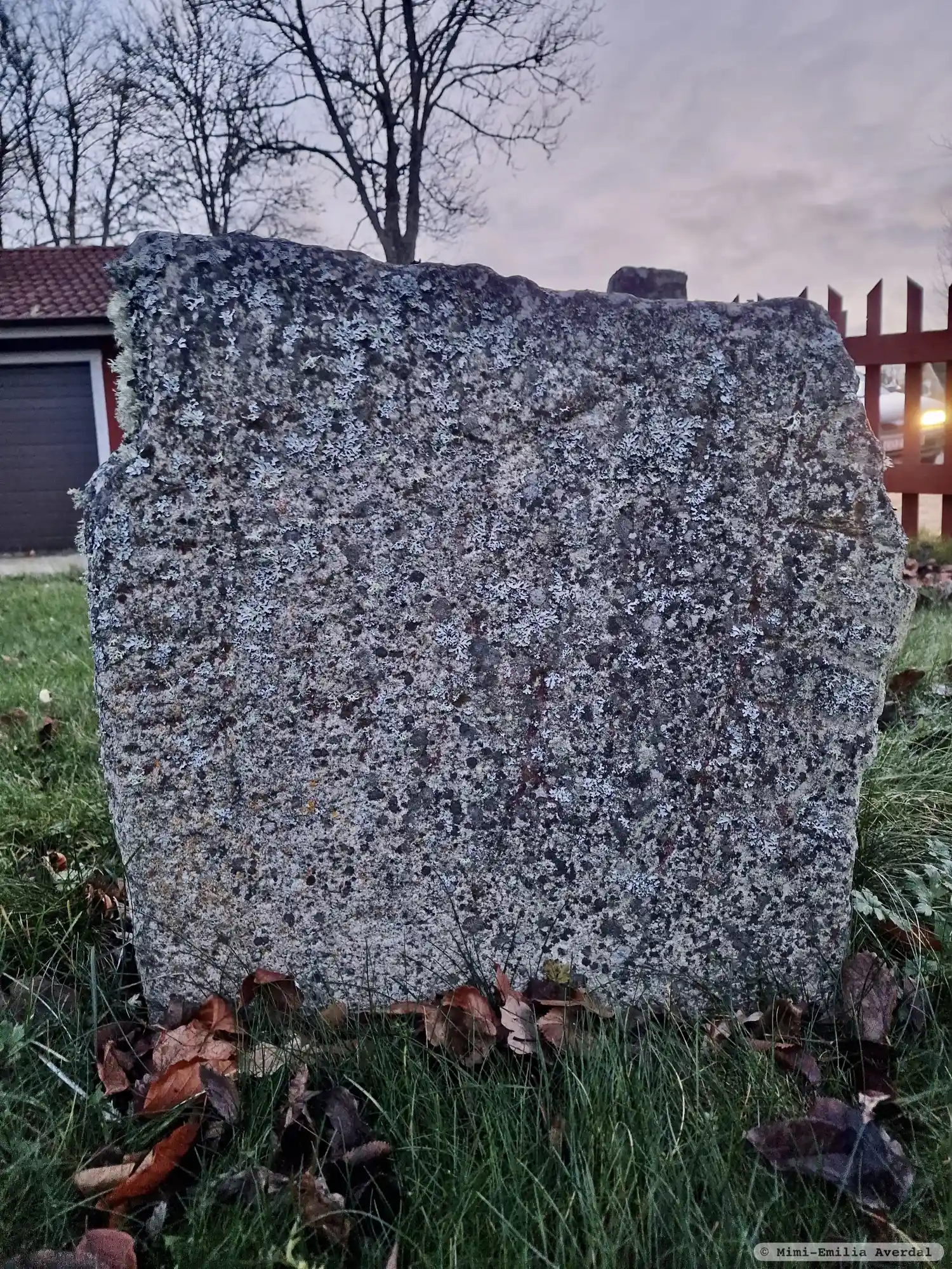 Rune-stone Sm87, L1971:9071 in Alseda parish, Vetlanda municipality