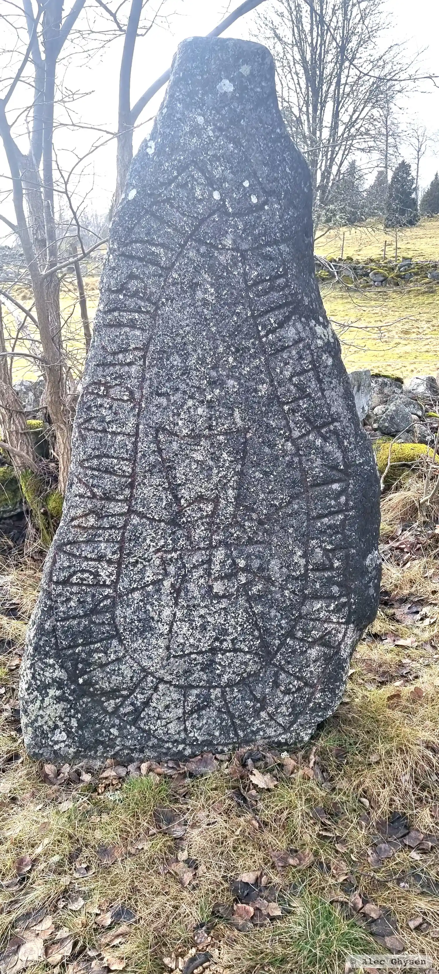 Rune-stone Sm89, L1974:1944 in Alseda parish, Vetlanda municipality