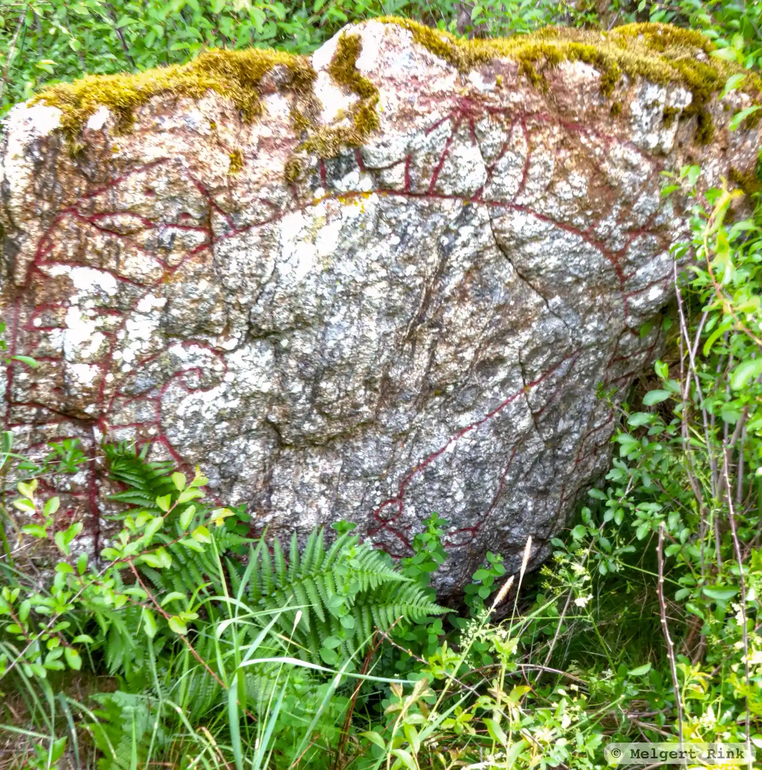 Рунічний камінь Sö224, L2015:6614 у Sorunda парафія, Nynäshamn муніципалітет