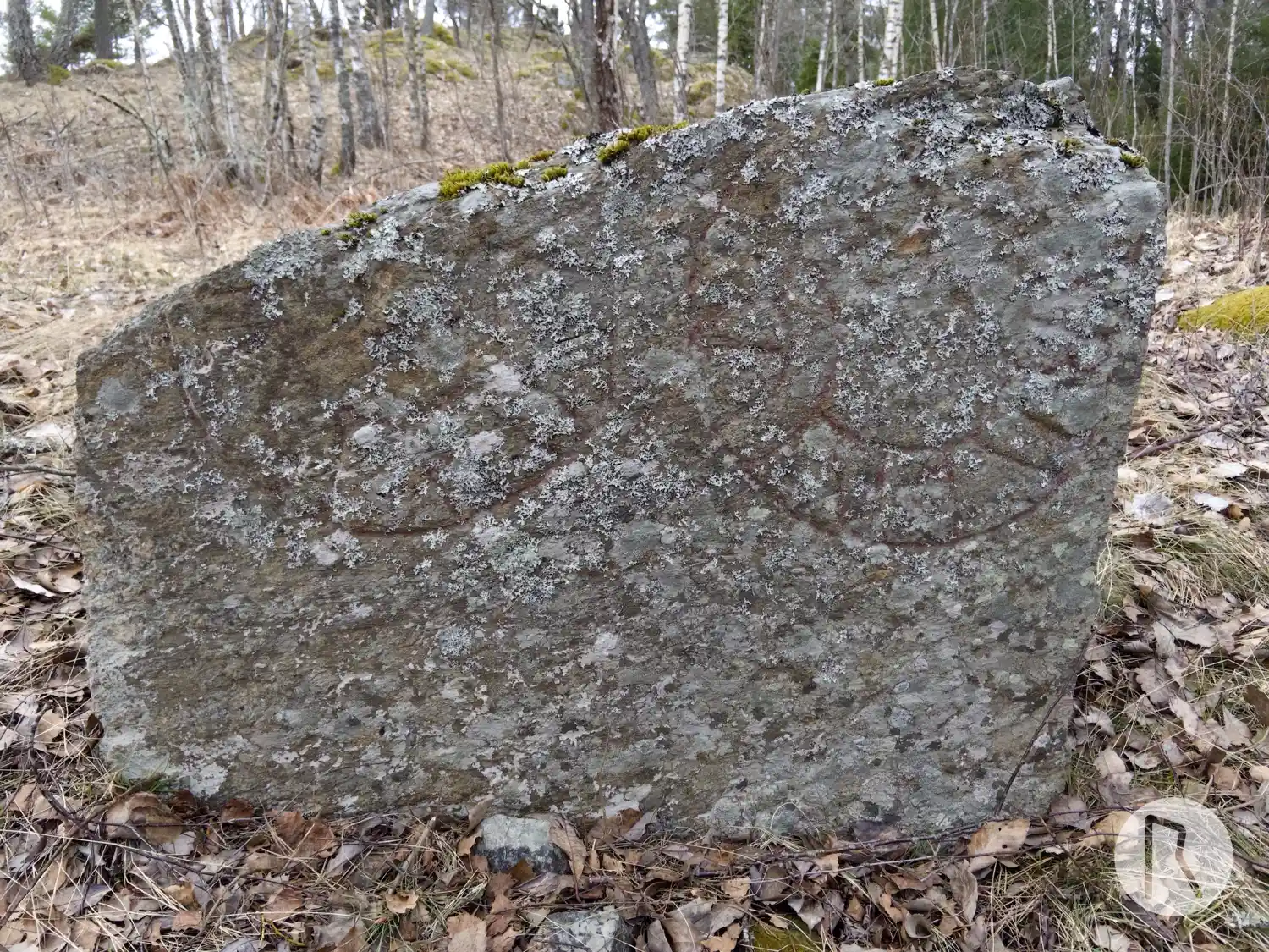 Pierre runique Sö259, L2014:8856 à Österhaninge paroisse, Haninge commune