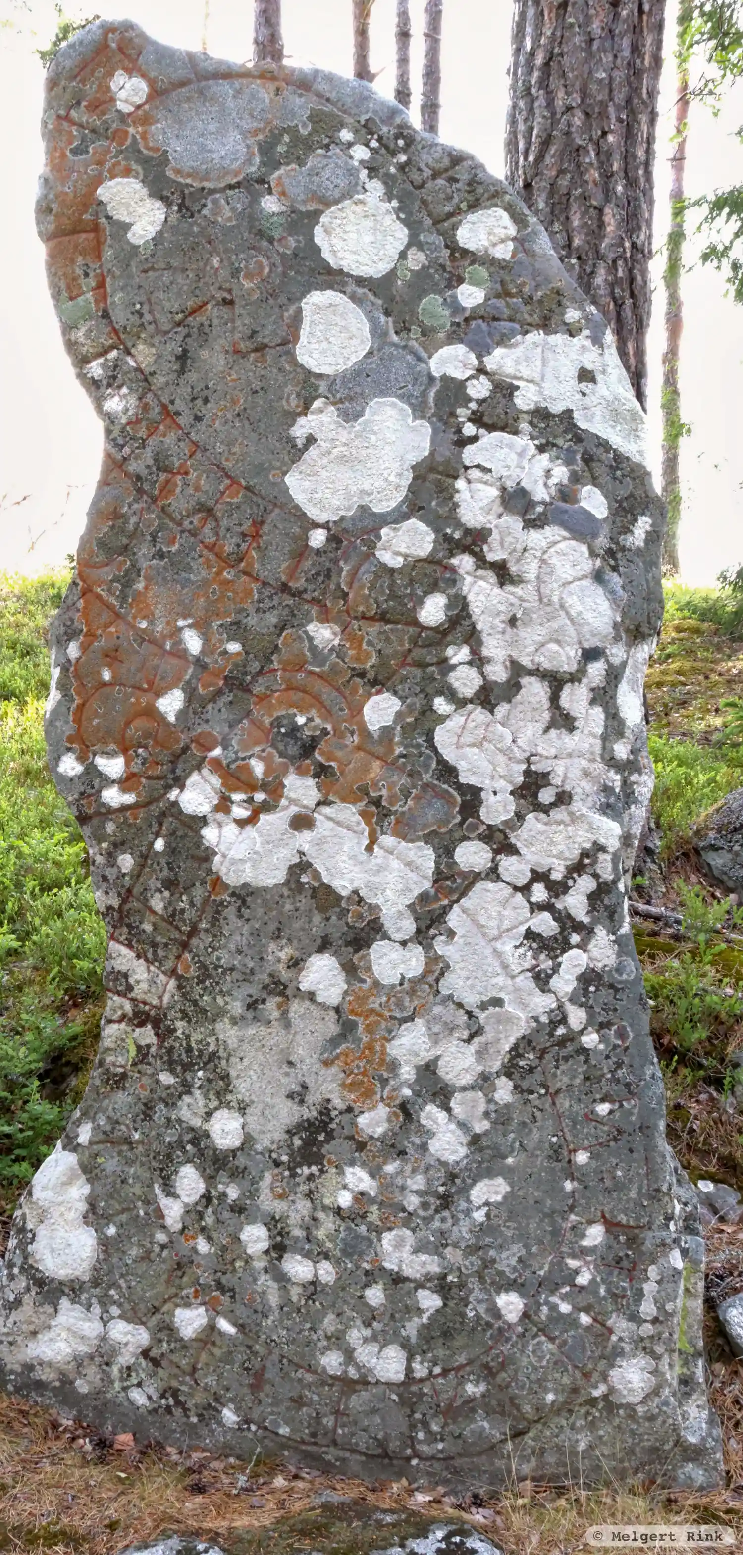 Pierre runique Sö292, L2017:7903 à Grödinge paroisse, Botkyrka commune