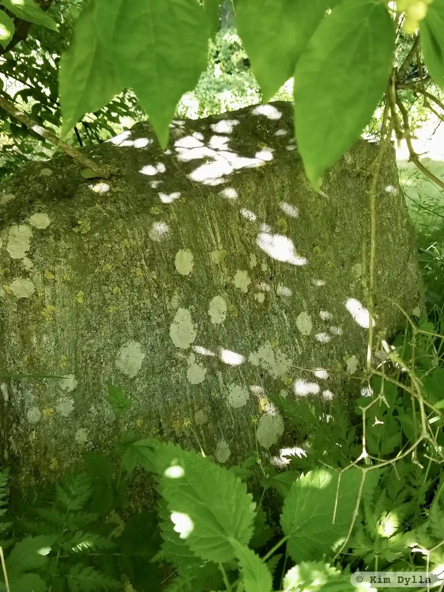 Rune-stone Sö348, L2014:6248 in Ytterjärna parish, Södertälje municipality