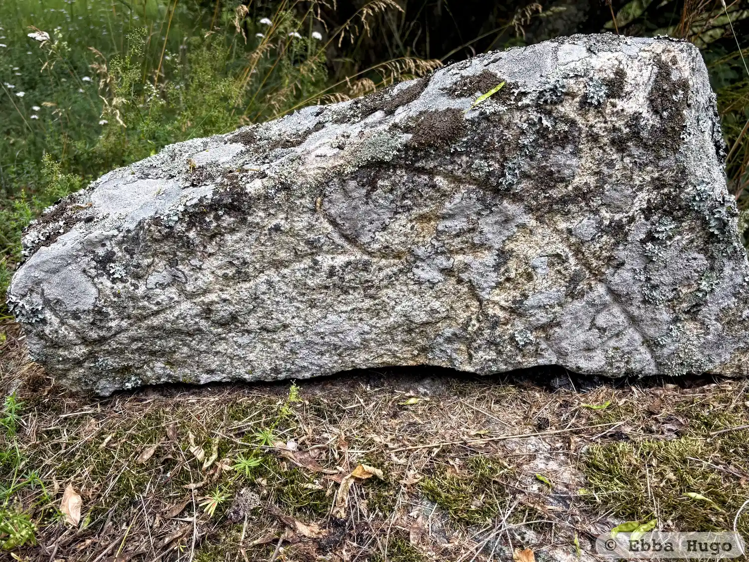 Rune-stone Sö378, L2016:899 in Huddinge parish, Huddinge municipality