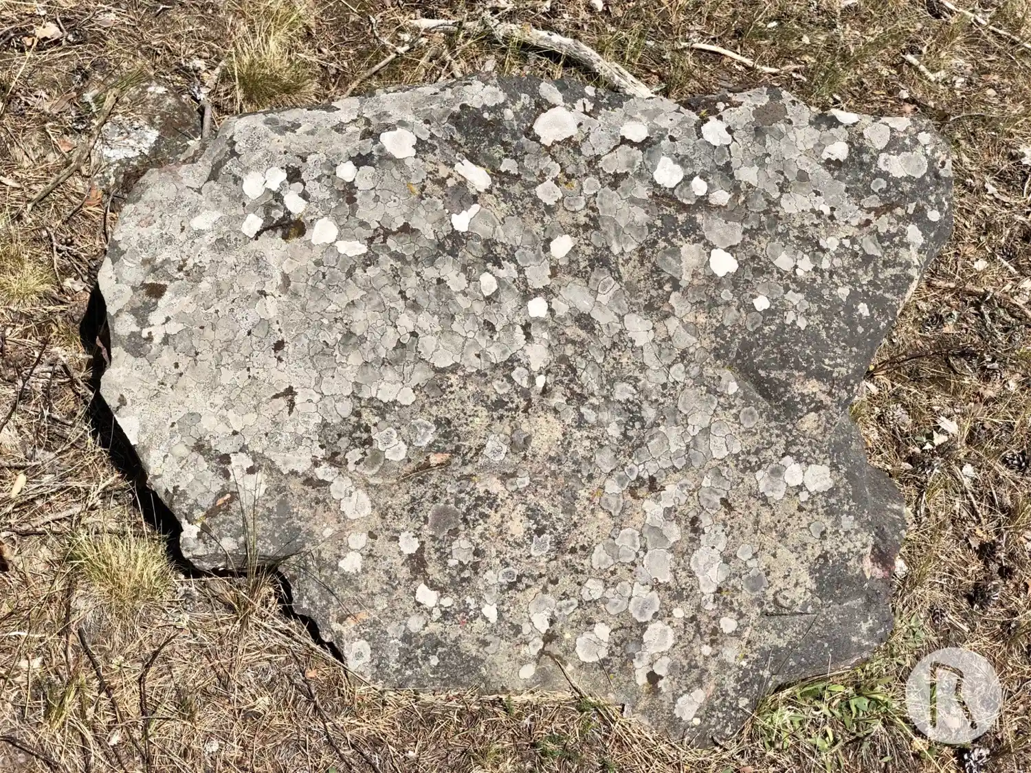 Rune-stone Sö381, L2015:2543 in Salem parish, Salem municipality