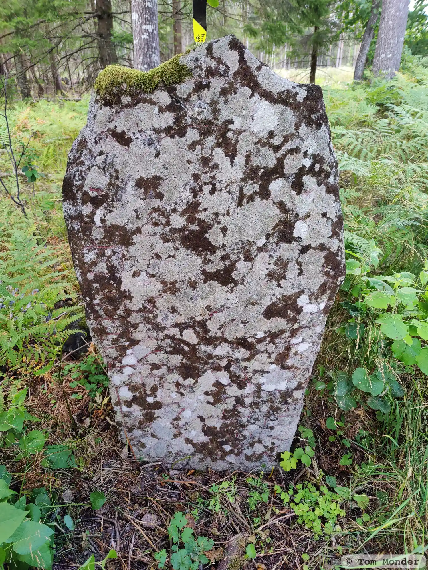 Rune-stone Sö61, L1984:1411 in Husby-Oppunda parish, Nyköping municipality