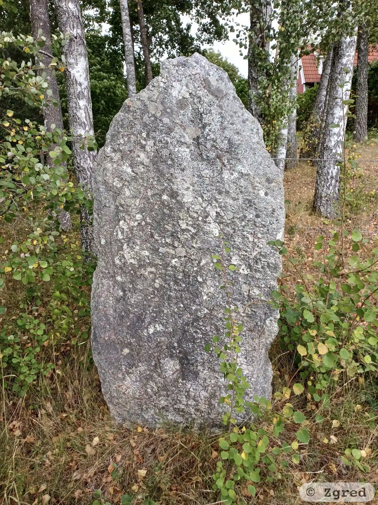Rune-stone SöFv1959;262, L2014:8828 in Österhaninge parish, Haninge municipality