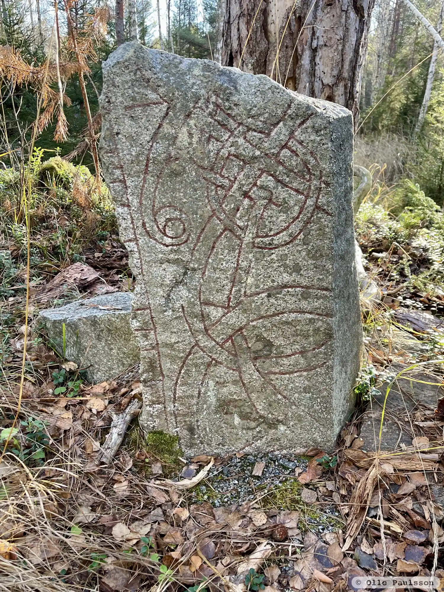 Rune-stone U1136, L1943:3238 in Film parish, Östhammar municipality